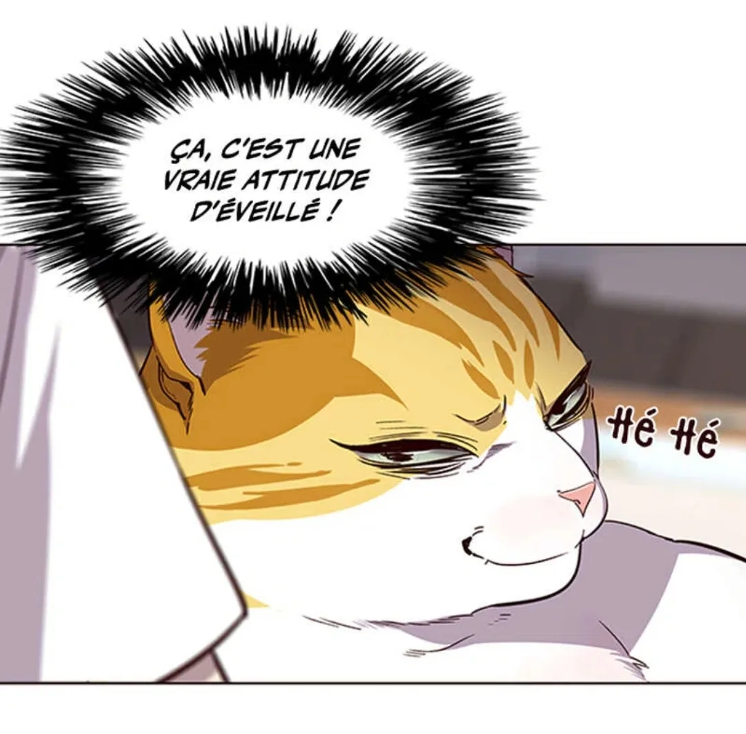 Image du commentaire