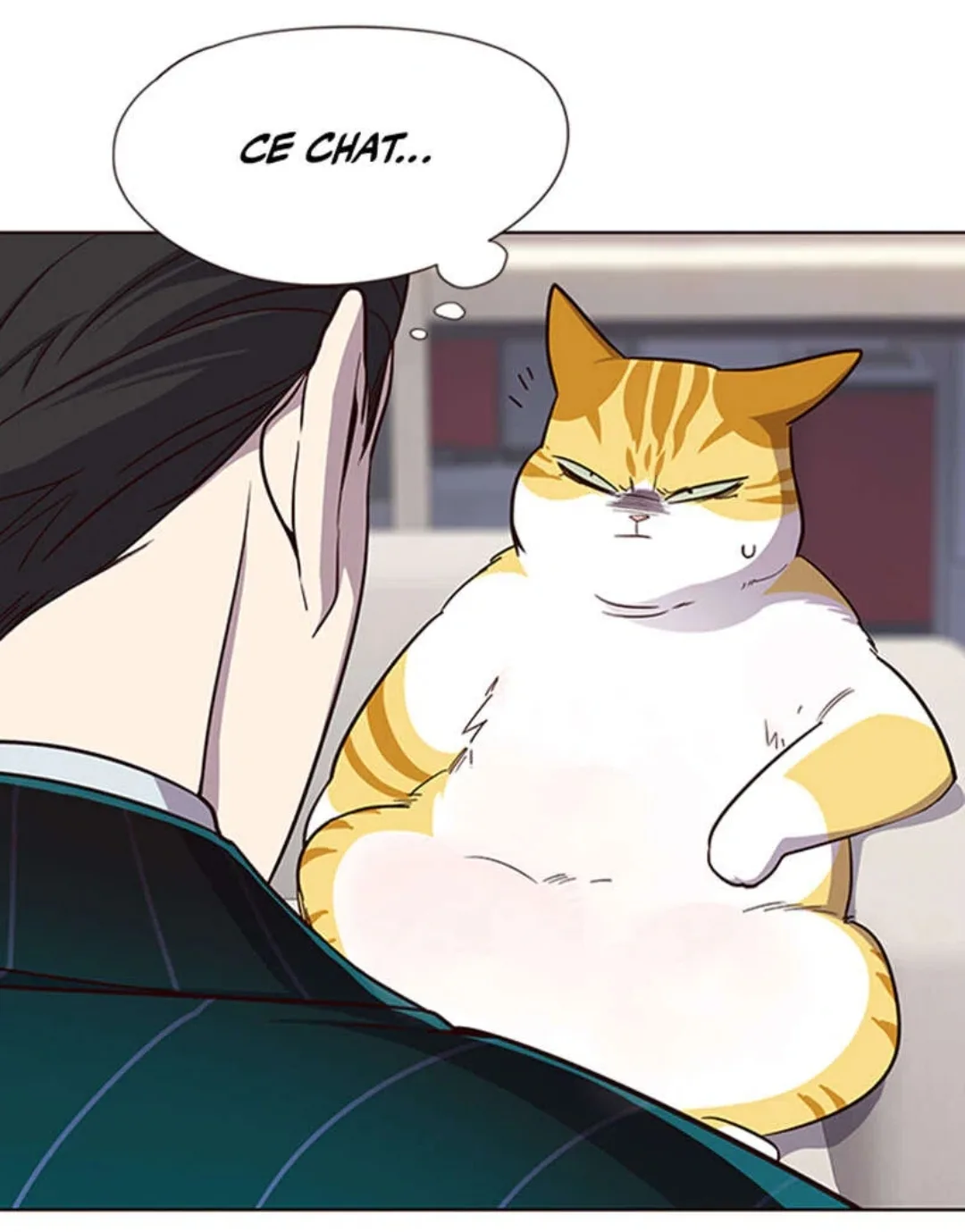 Image du commentaire