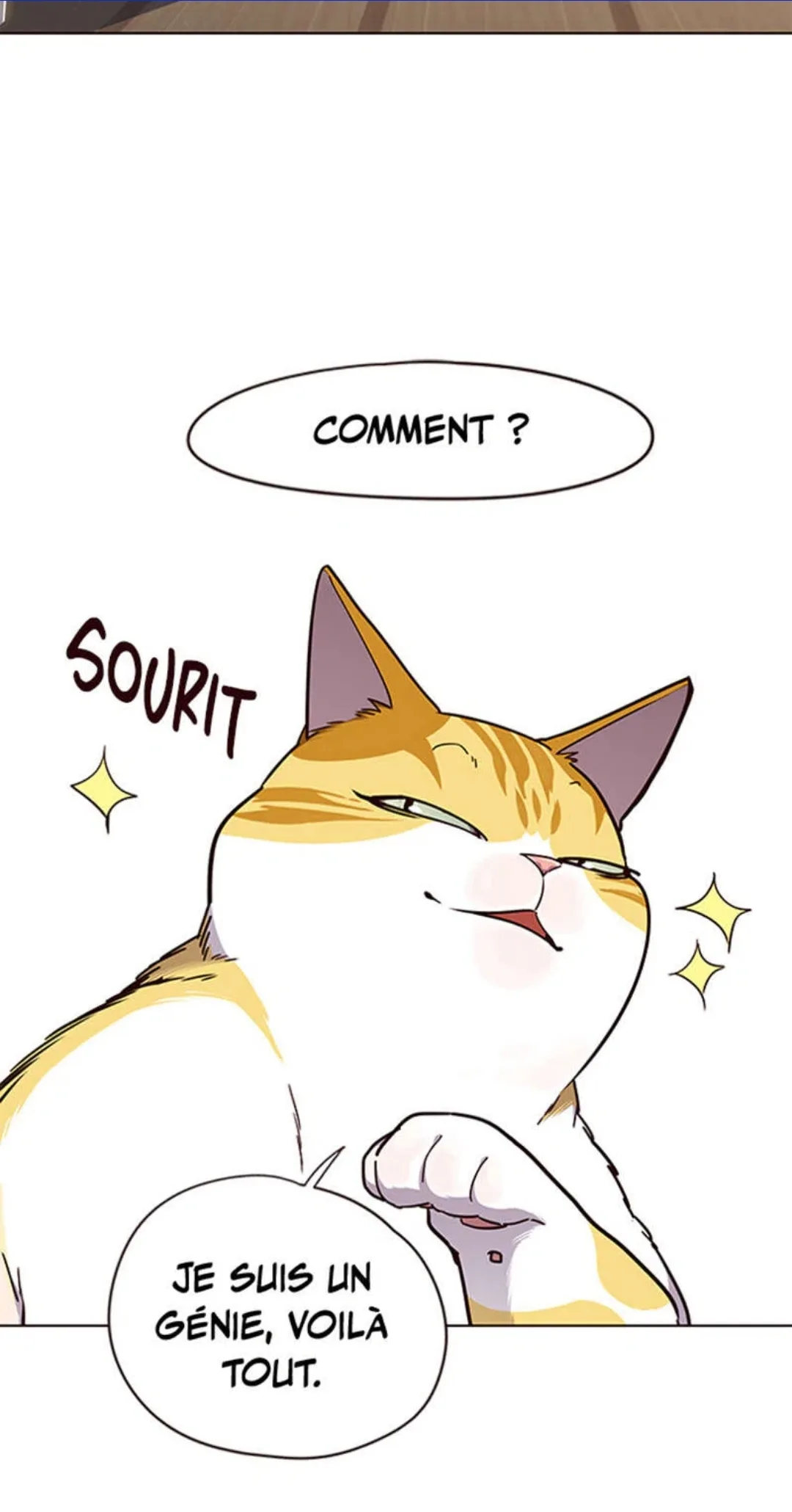 Image du commentaire