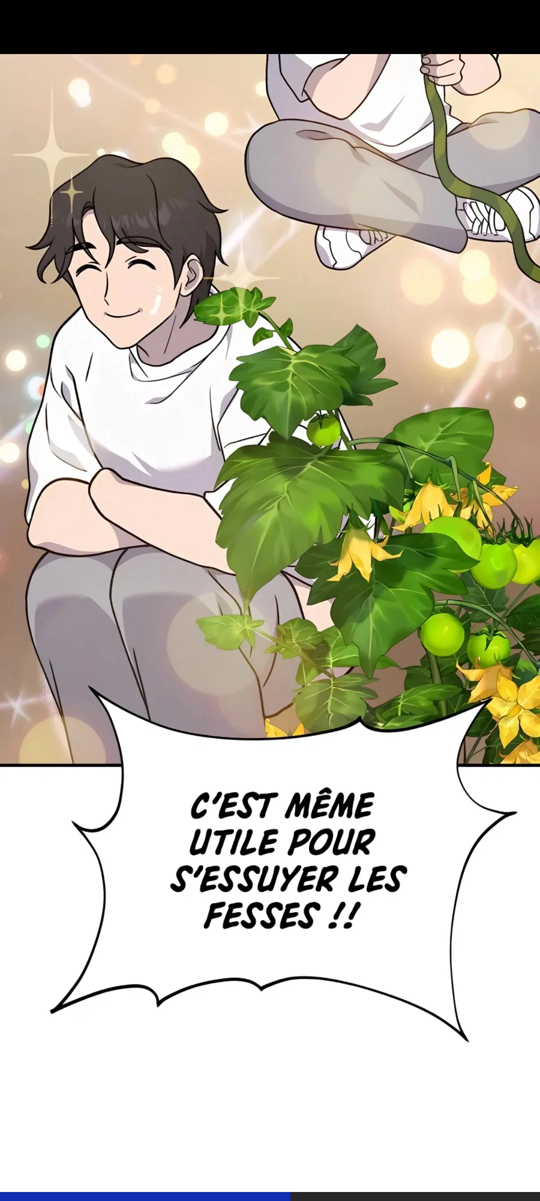 Image du commentaire