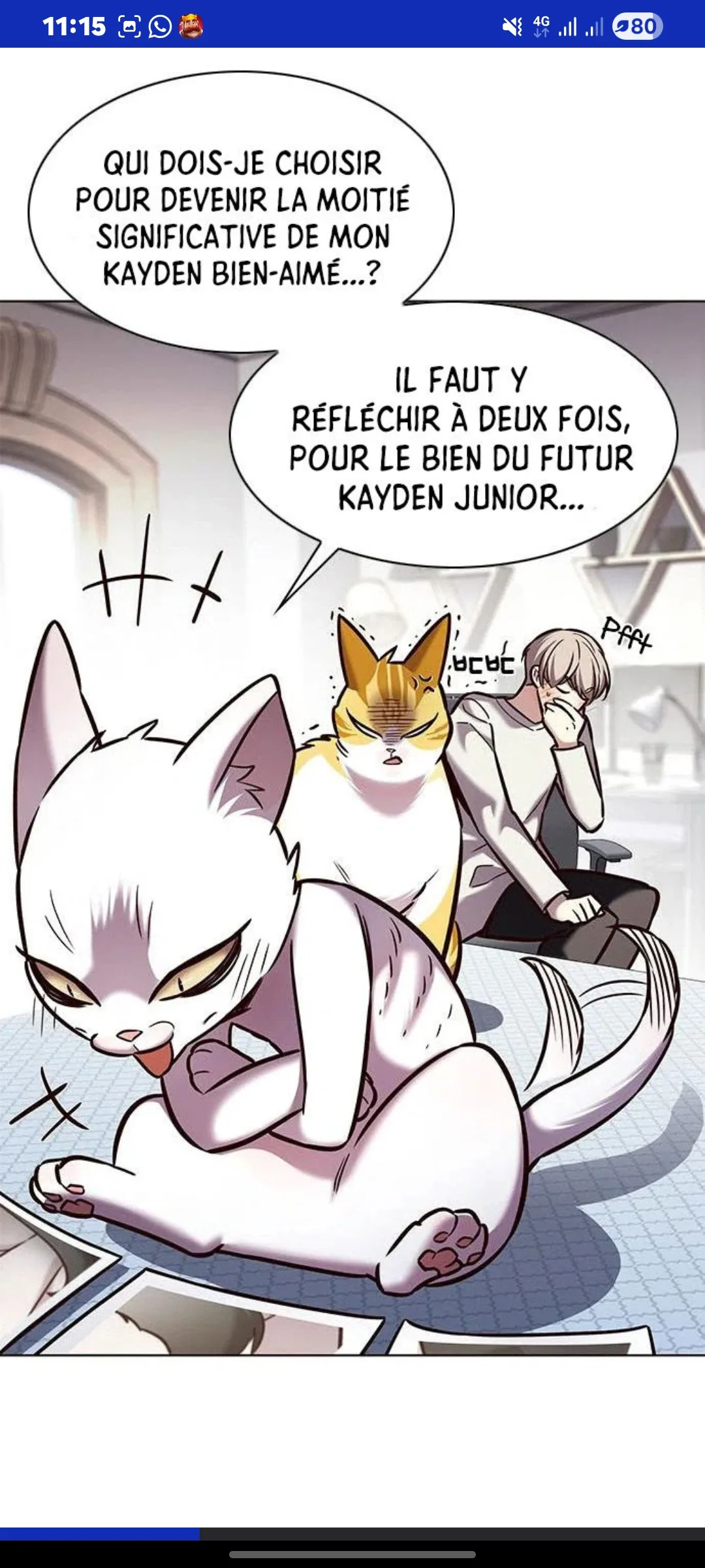 Image du commentaire
