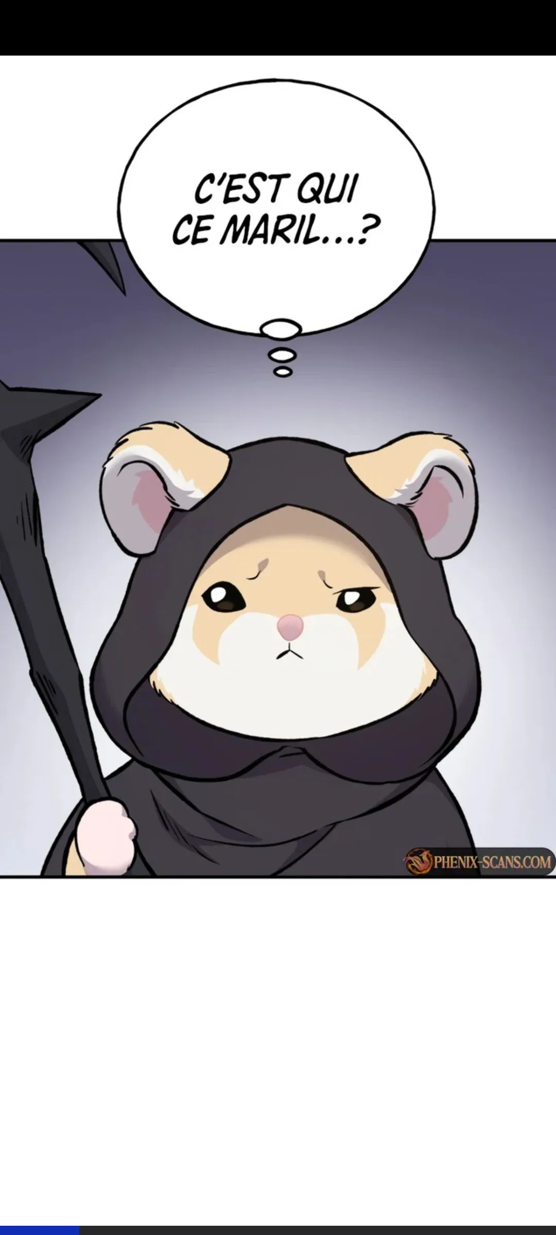 Image du commentaire