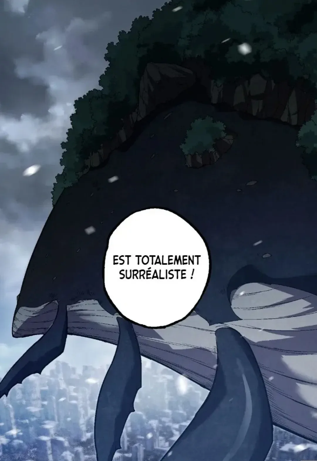 Image du commentaire