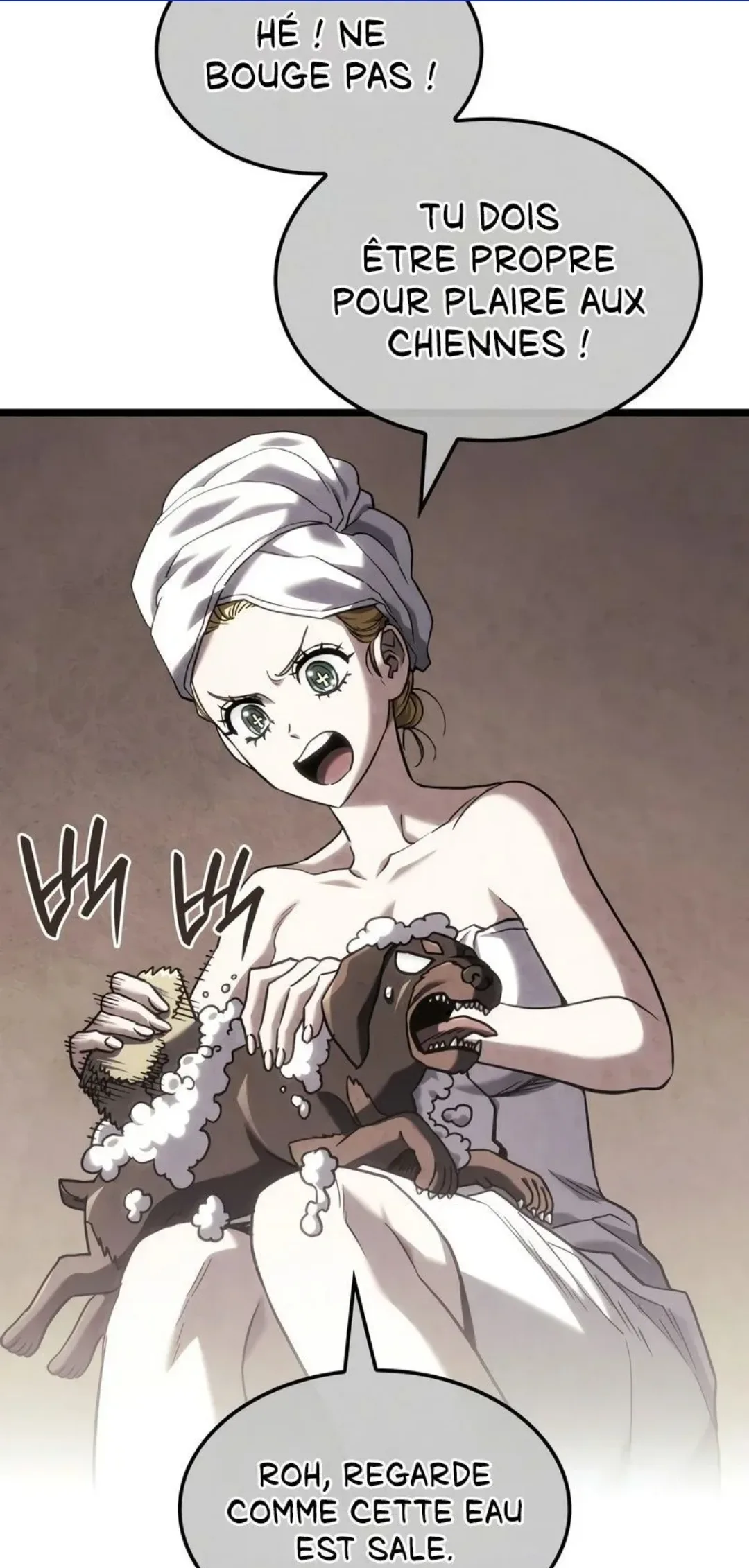 Image du commentaire