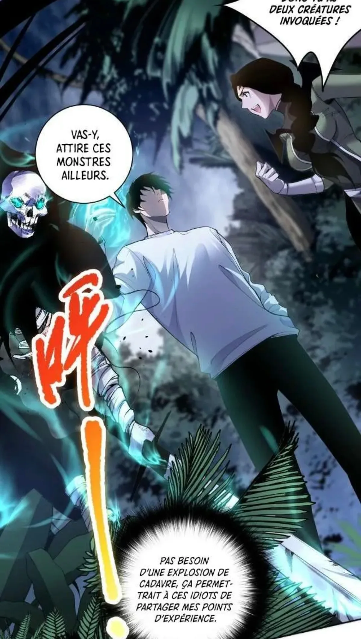 Image du commentaire