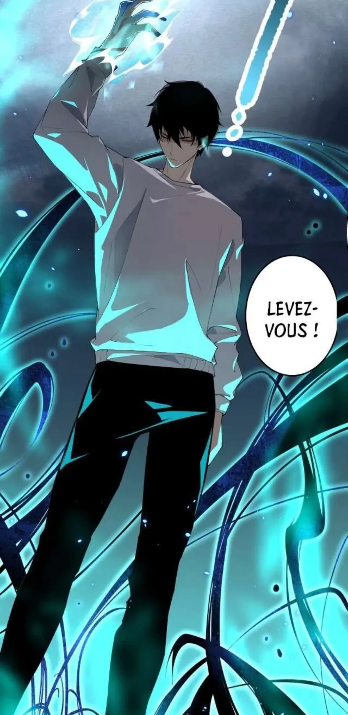 Image du commentaire
