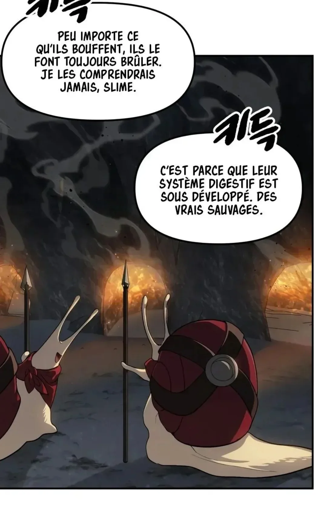 Image du commentaire