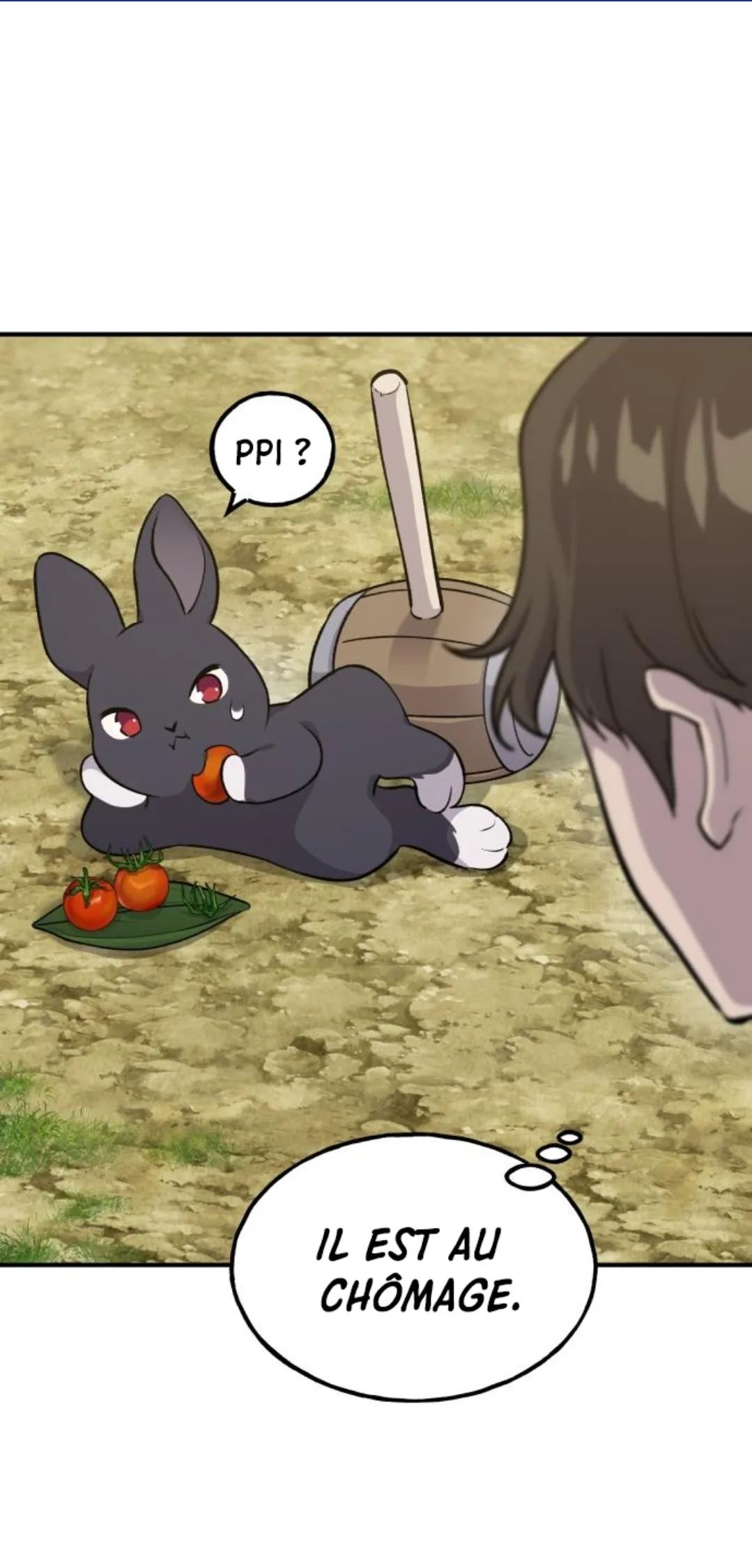 Image du commentaire