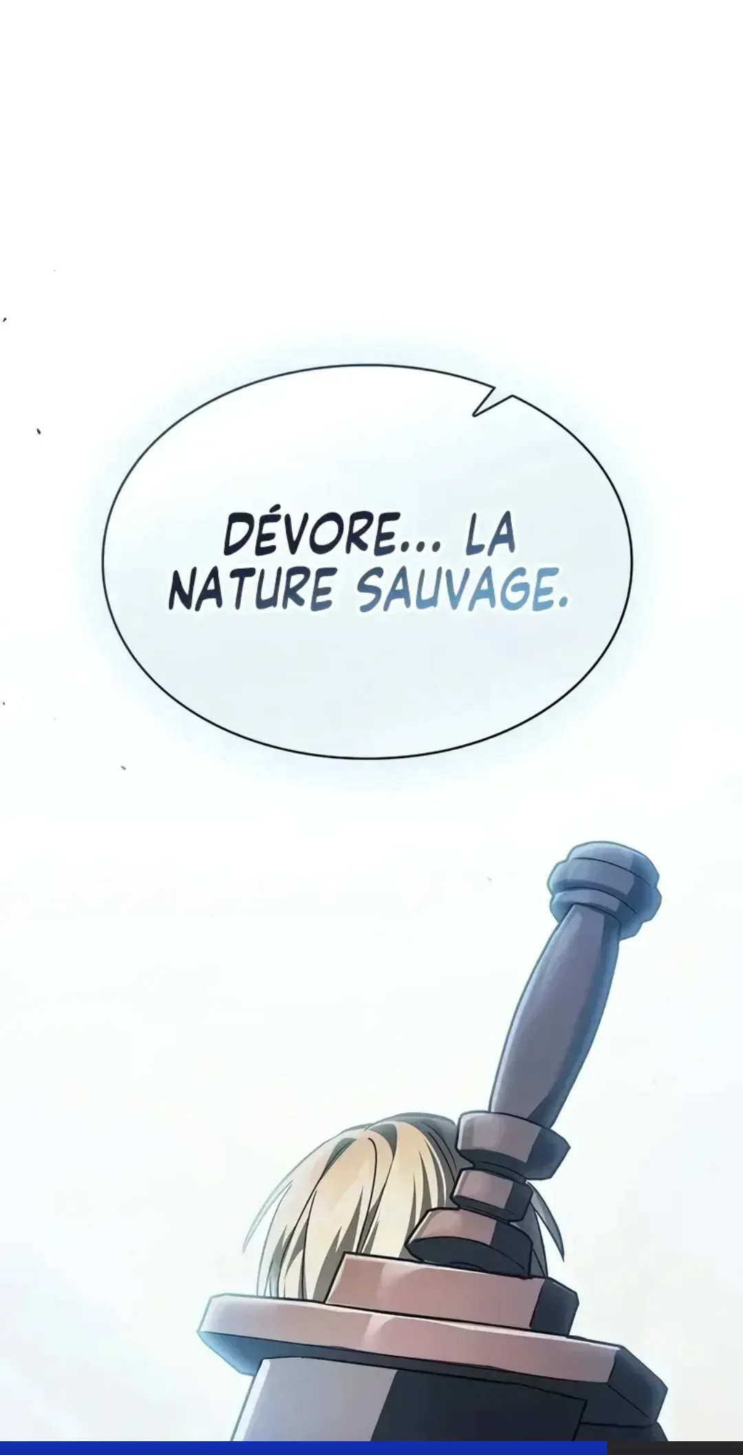 Image du commentaire