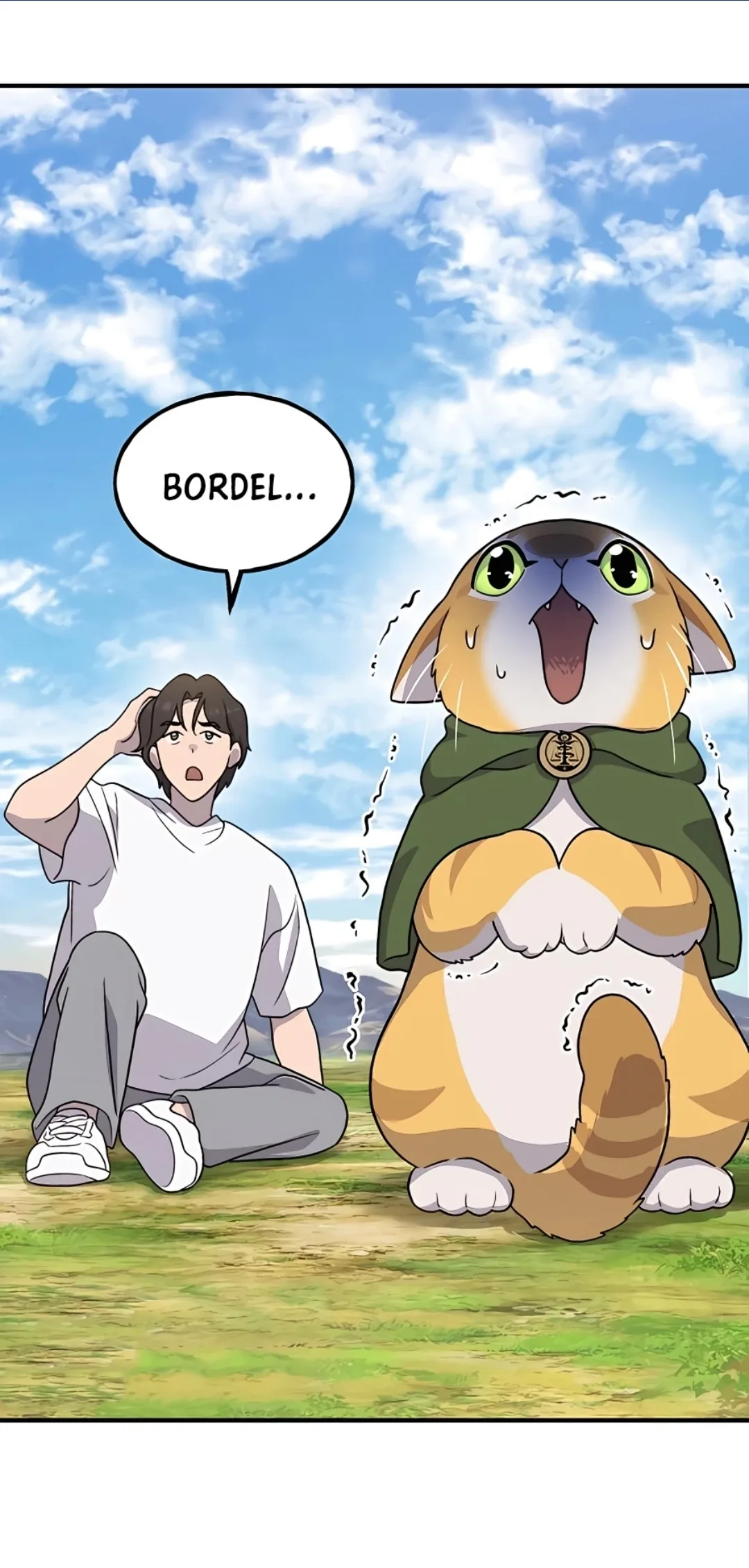 Image du commentaire