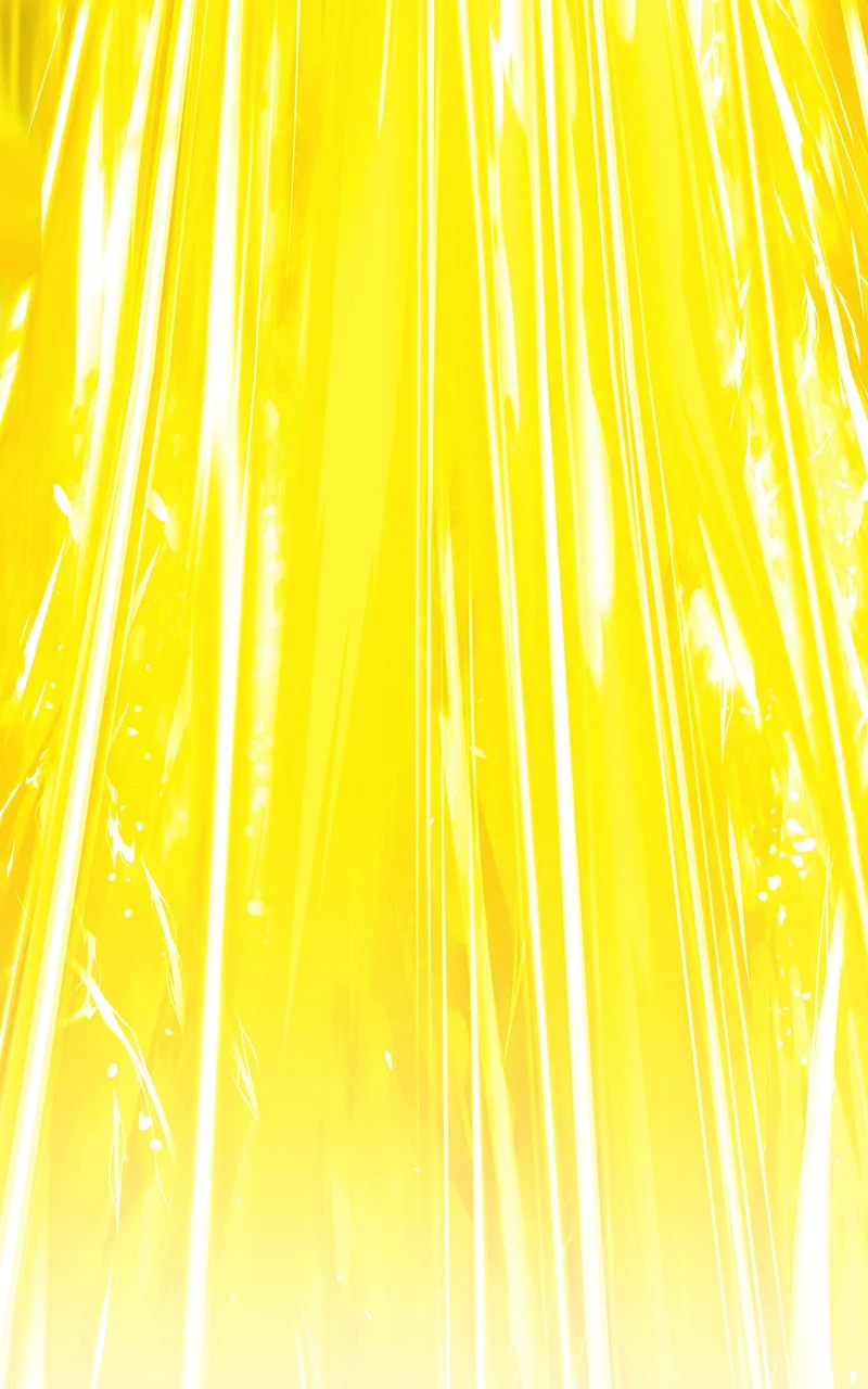 Chapter Image 75