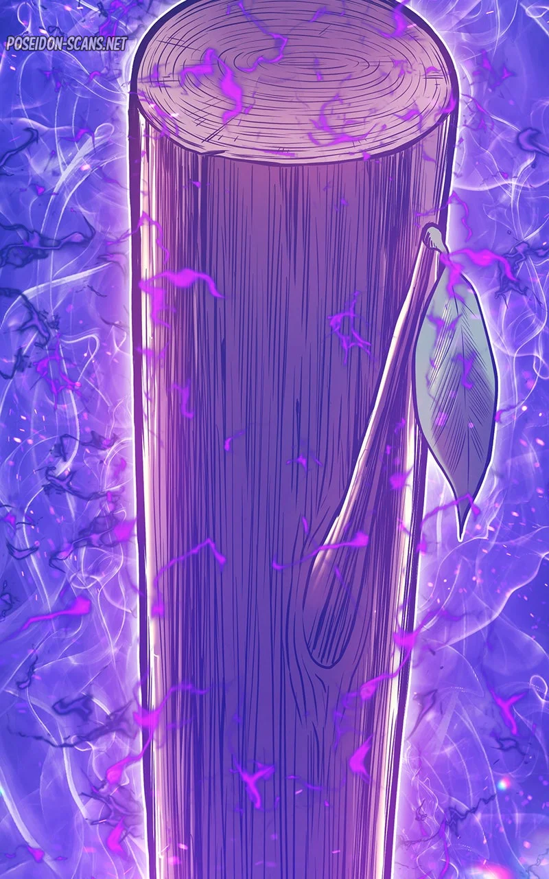 Chapter Image 1