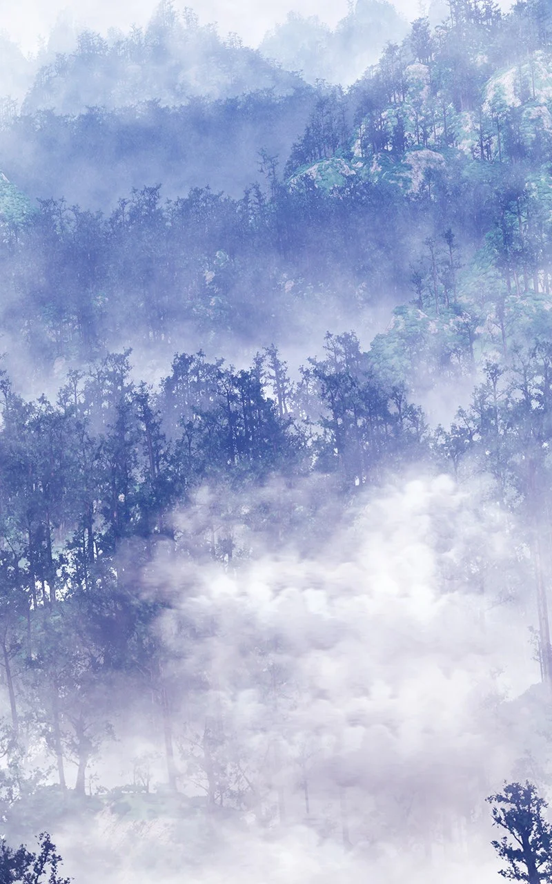 Chapter Image 741
