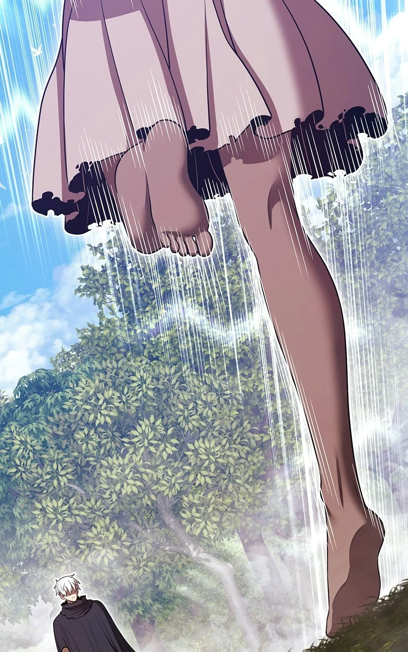 Chapter Image 260