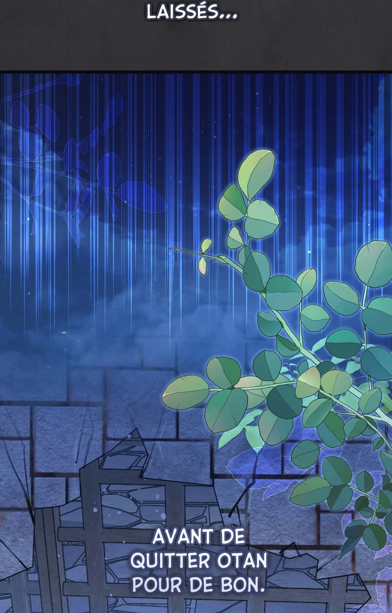 Chapter Image 704