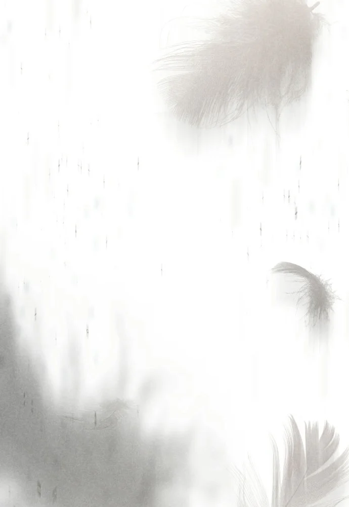 Chapter Image 371