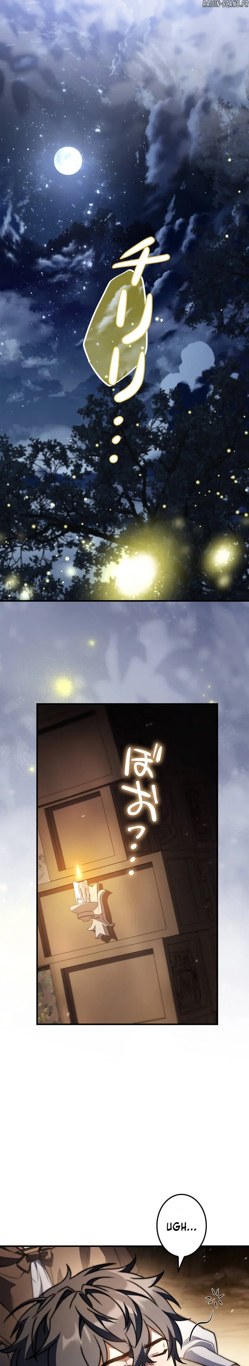 Chapter Image 371