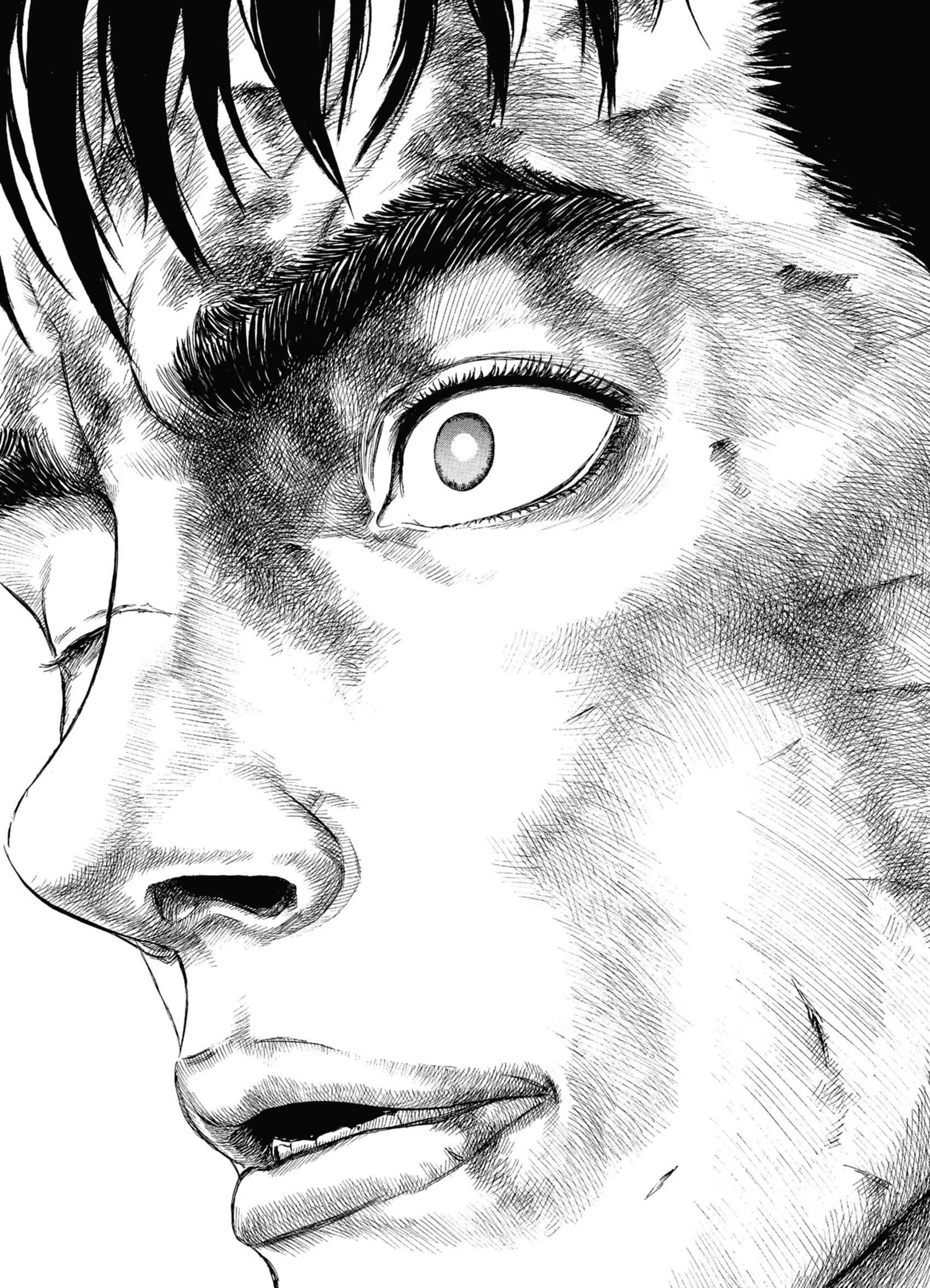 Chapter Image 482