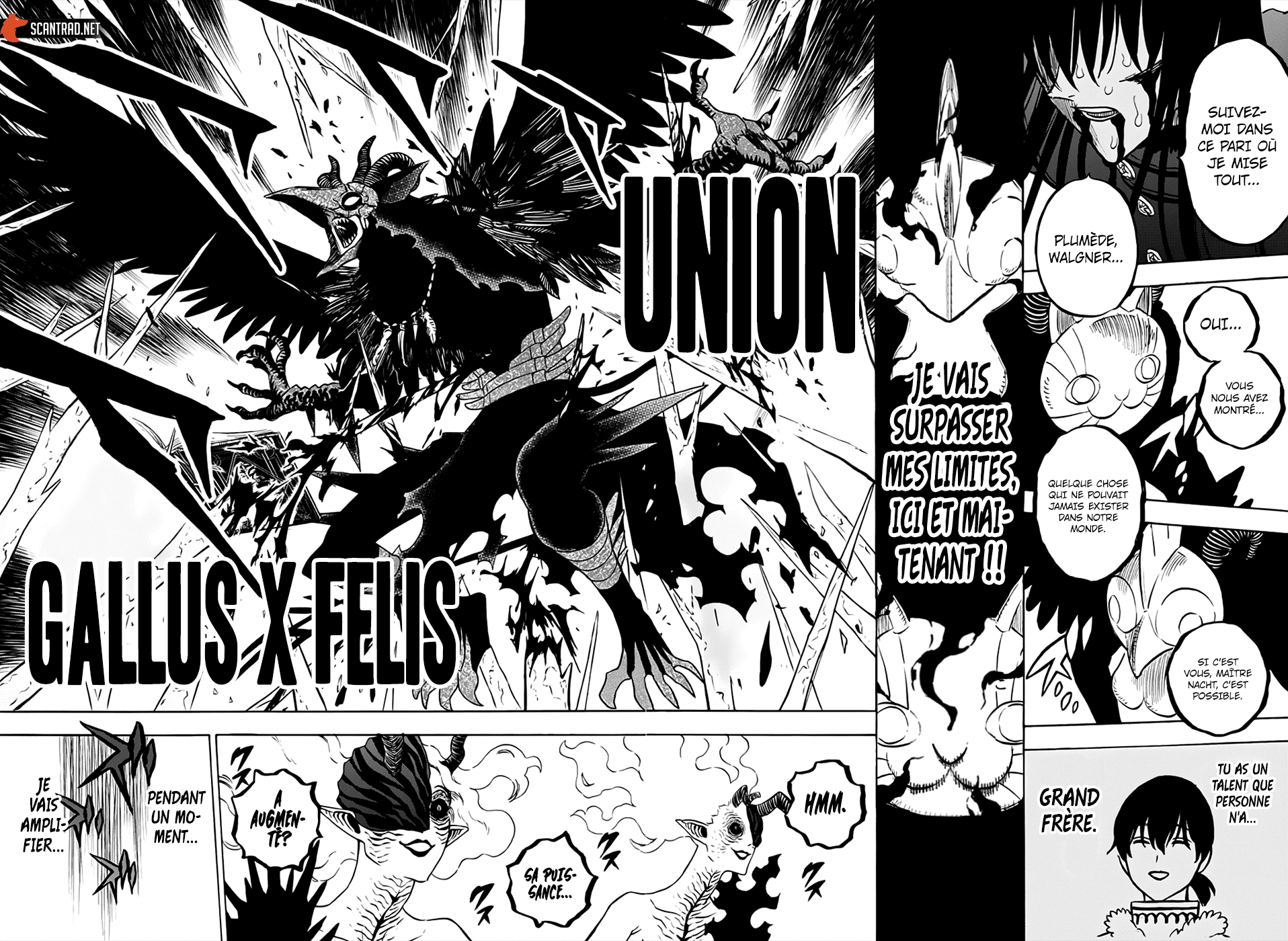 Chapter Image 223