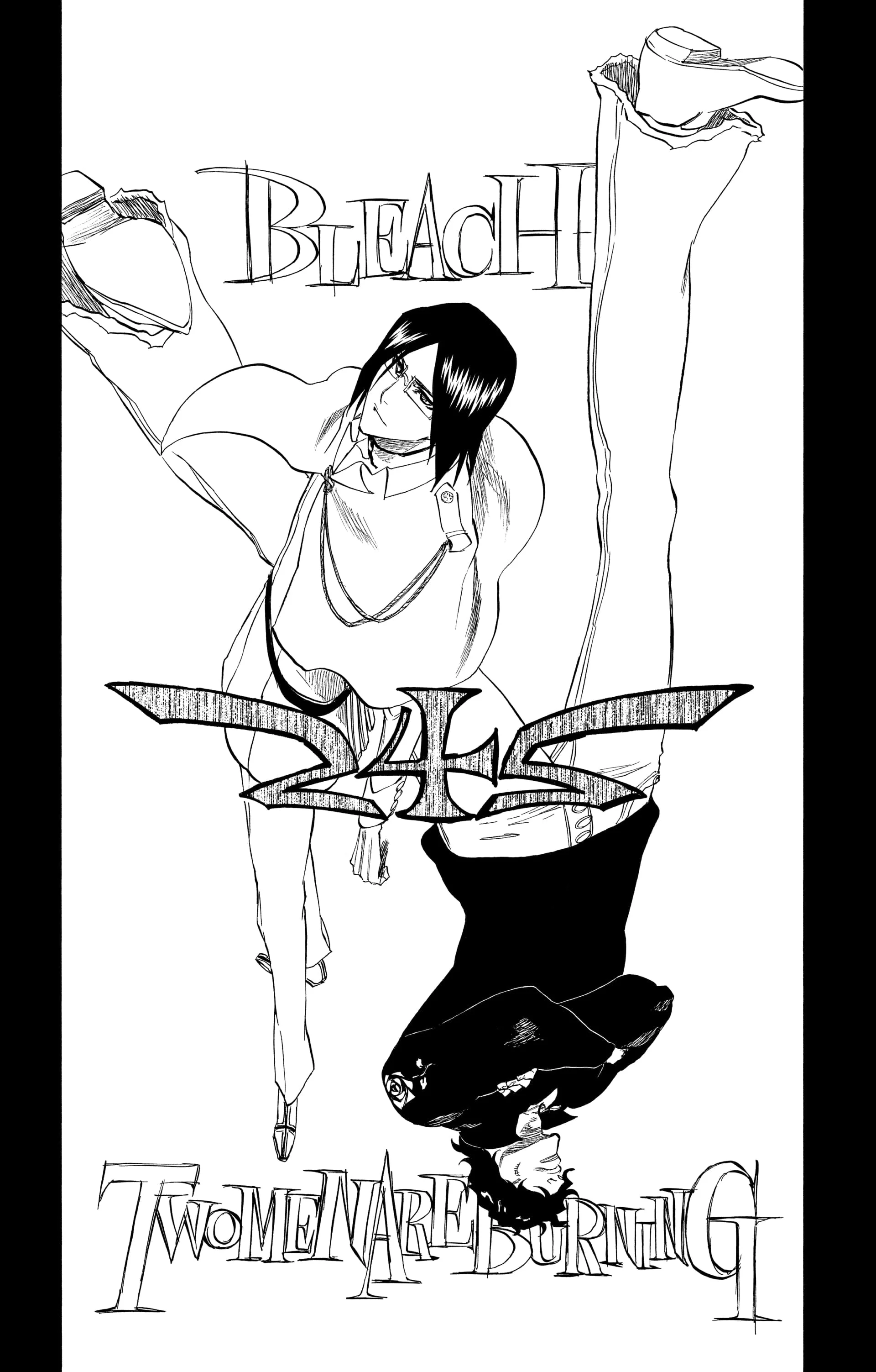 Chapter Image 260