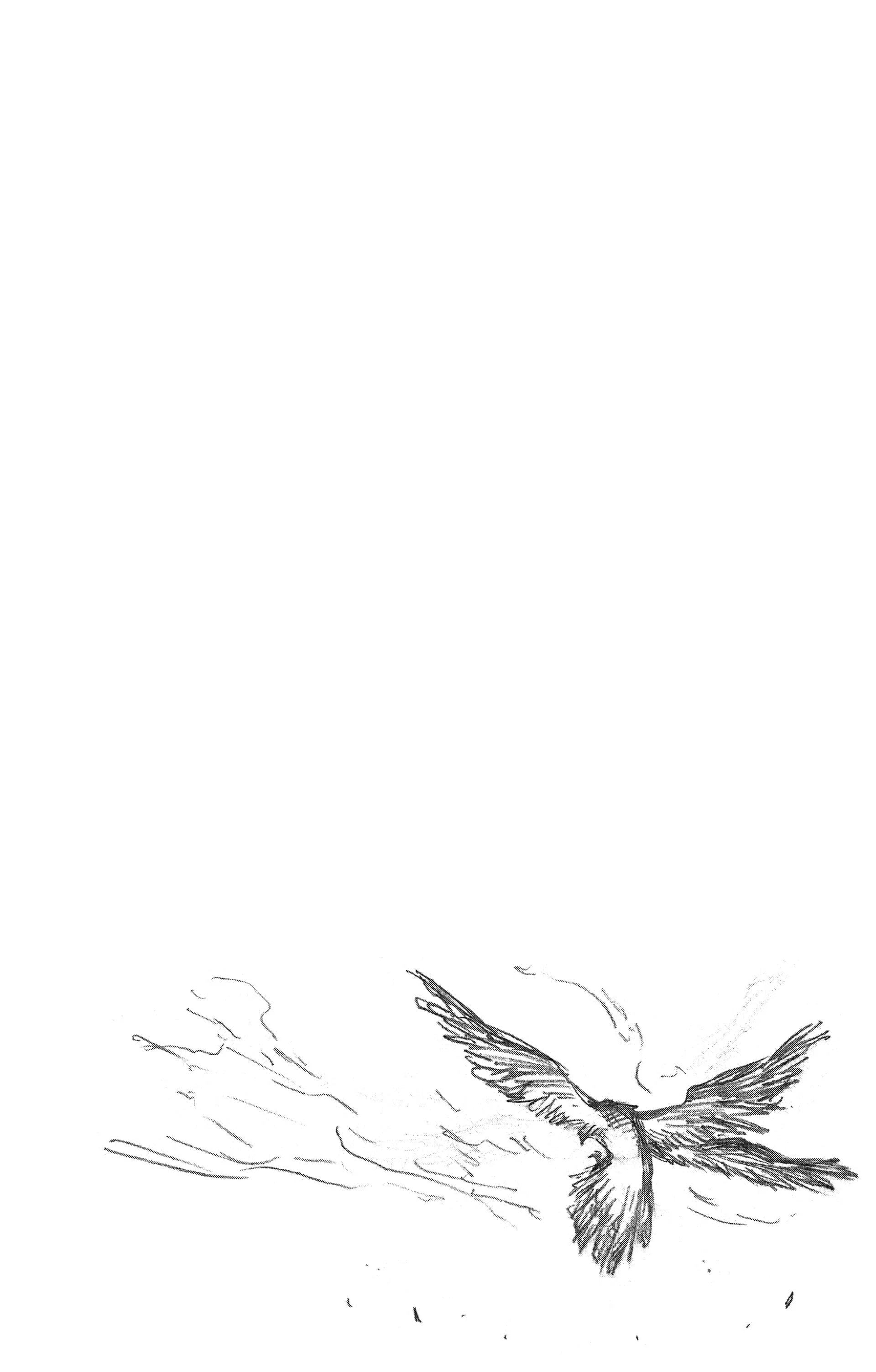 Chapter Image 593