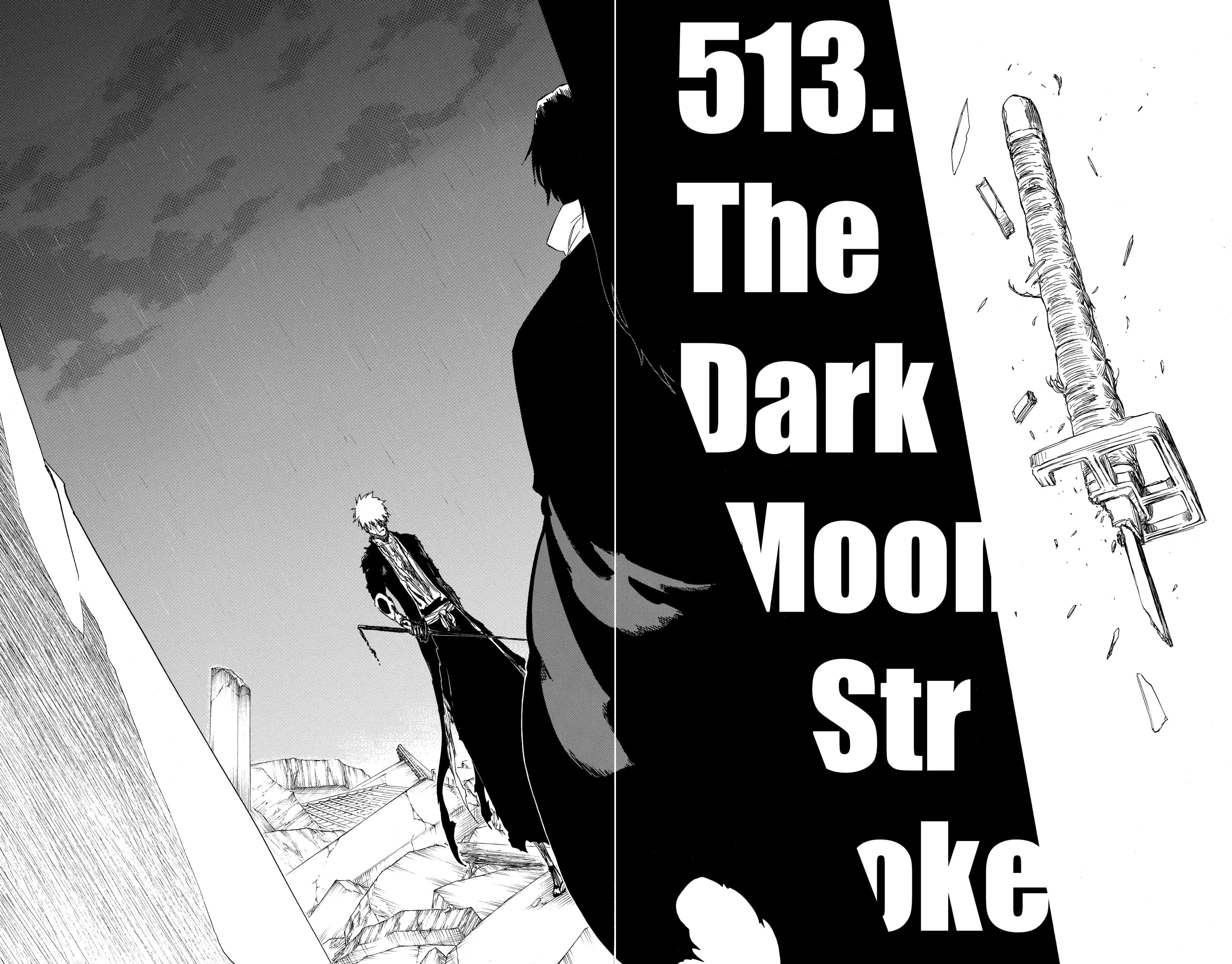 Chapter Image 260