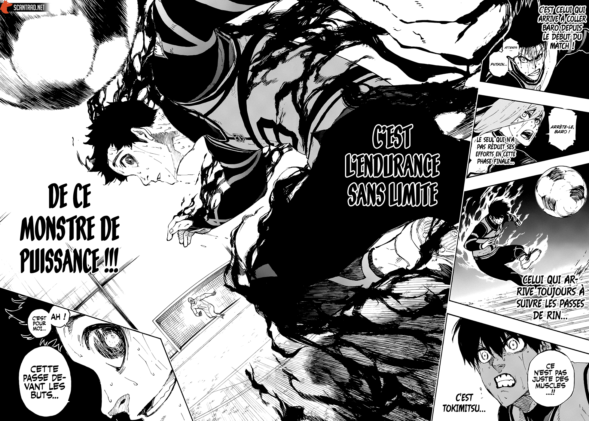 Chapter Image 334