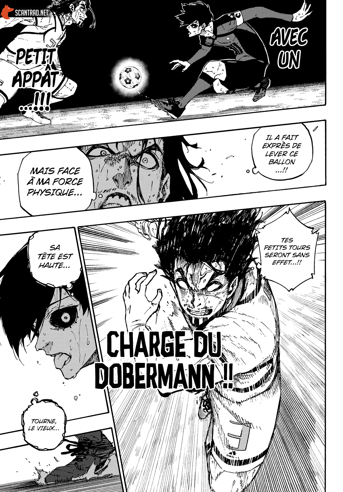 Chapter Image 482