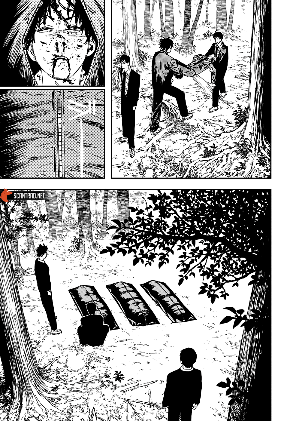 Chapter Image 519