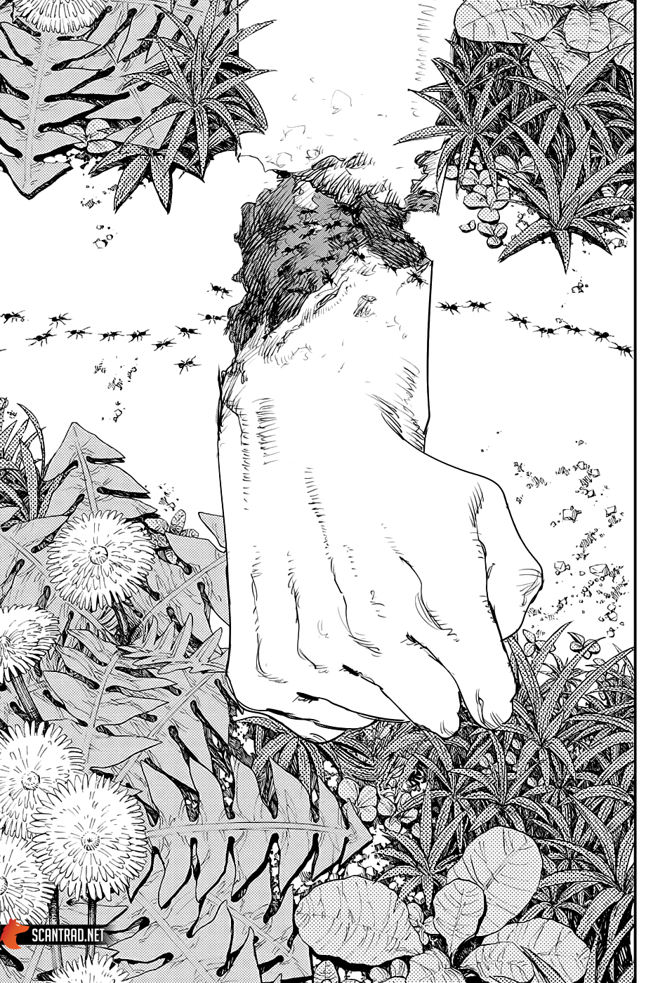 Chapter Image 593