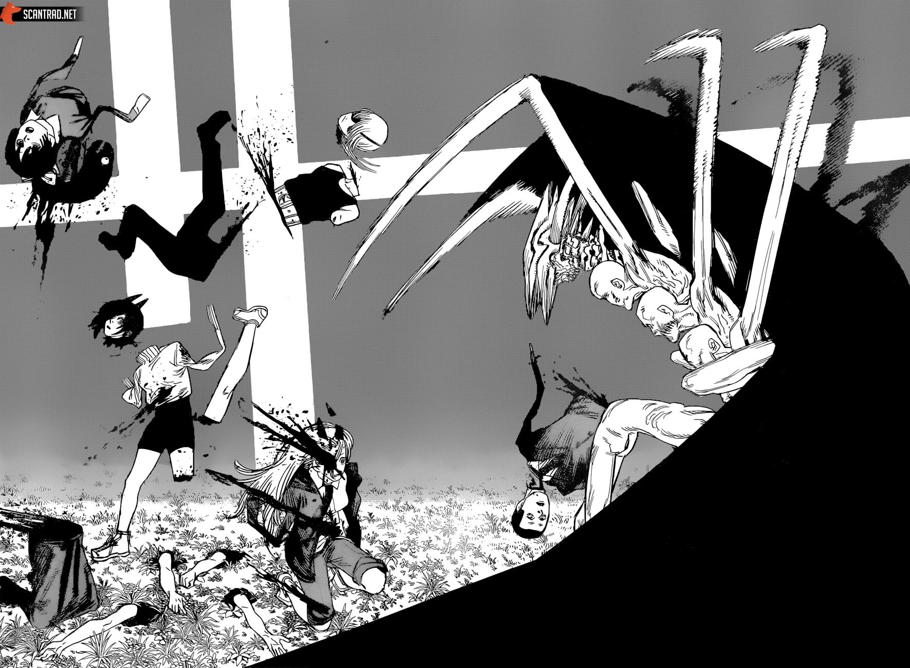 Chapter Image 260