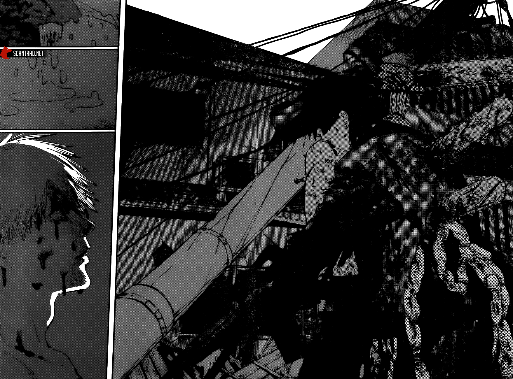 Chapter Image 556