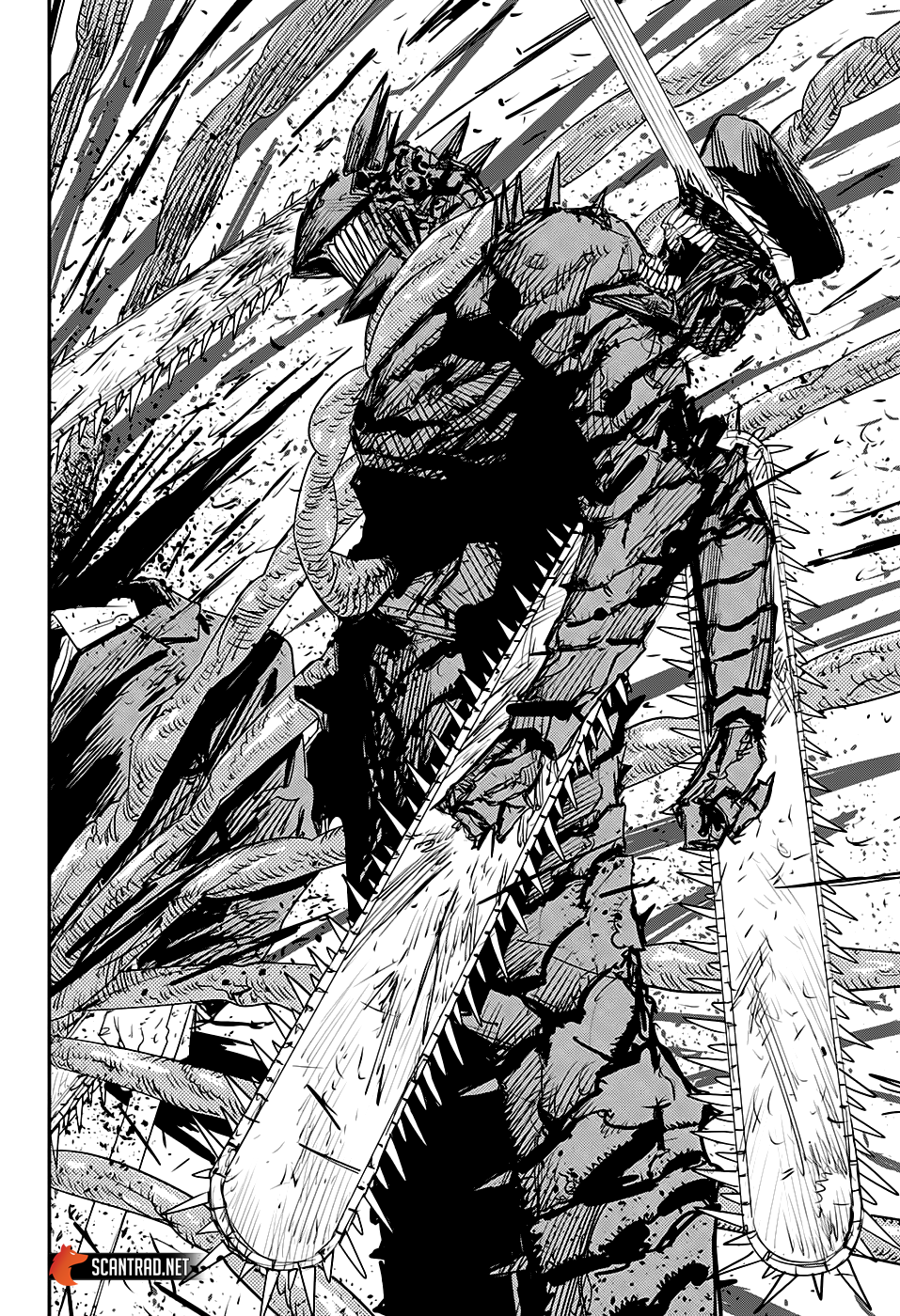 Chapter Image 519