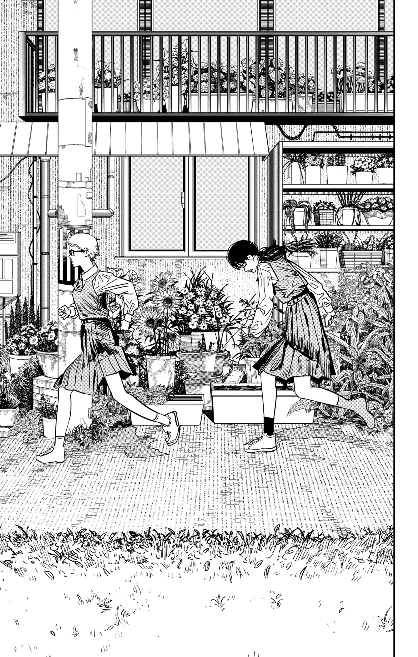 Chapter Image 556