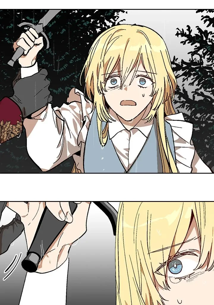 Chapter Image 556