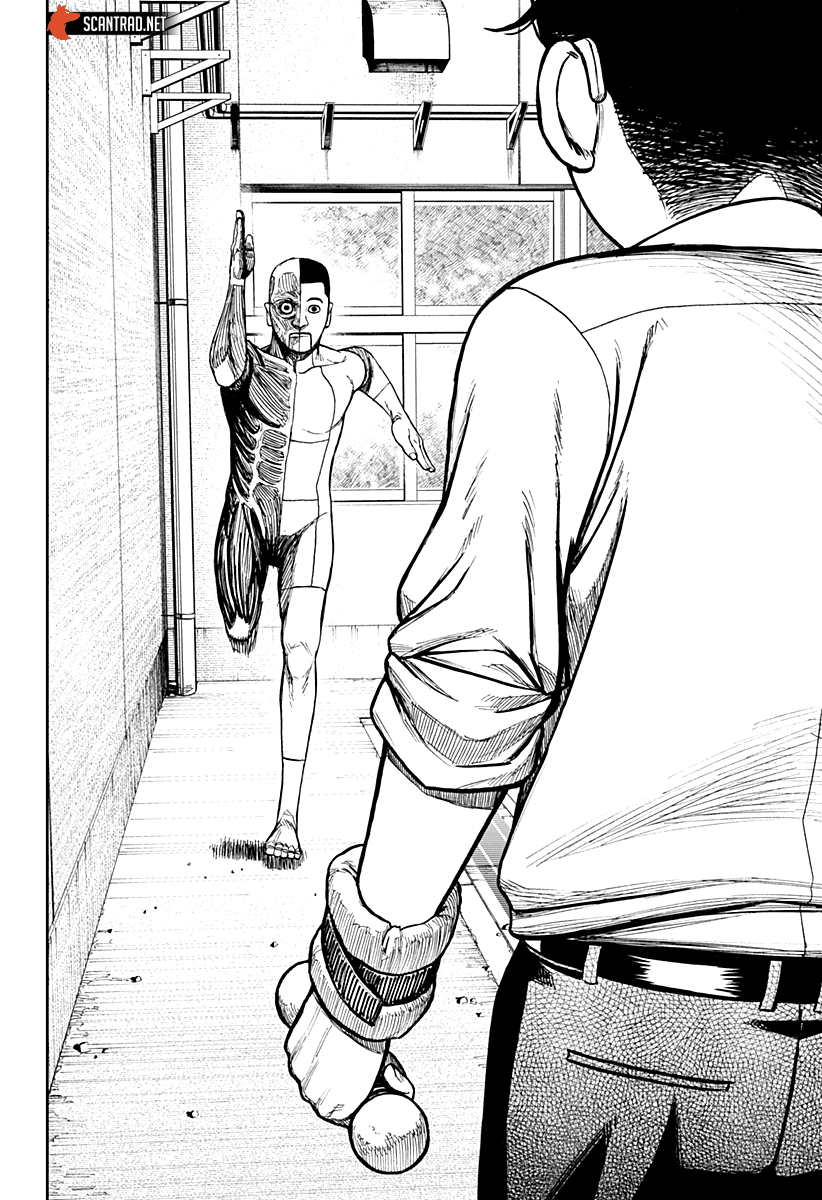 Chapter Image 482