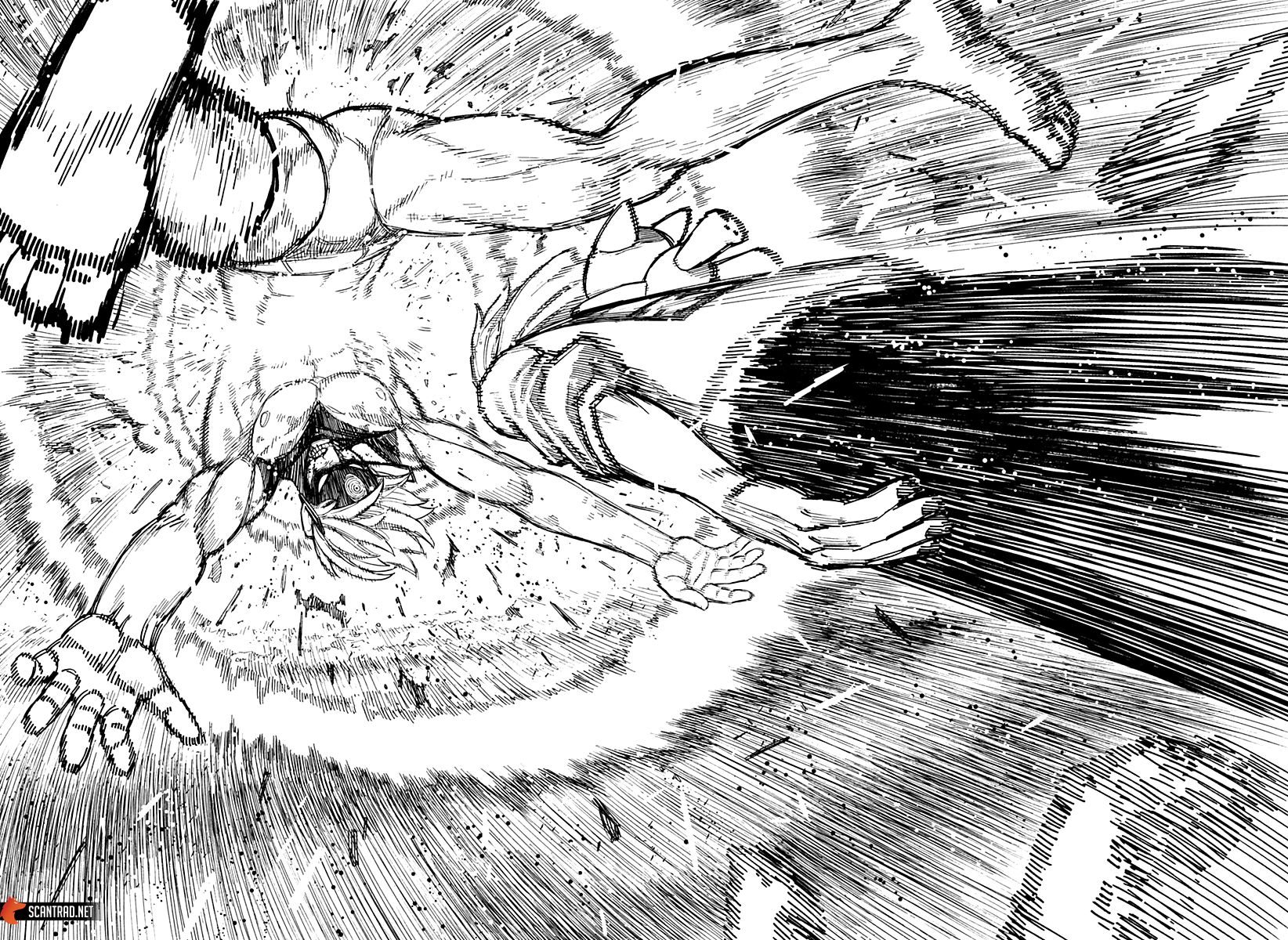 Chapter Image 223