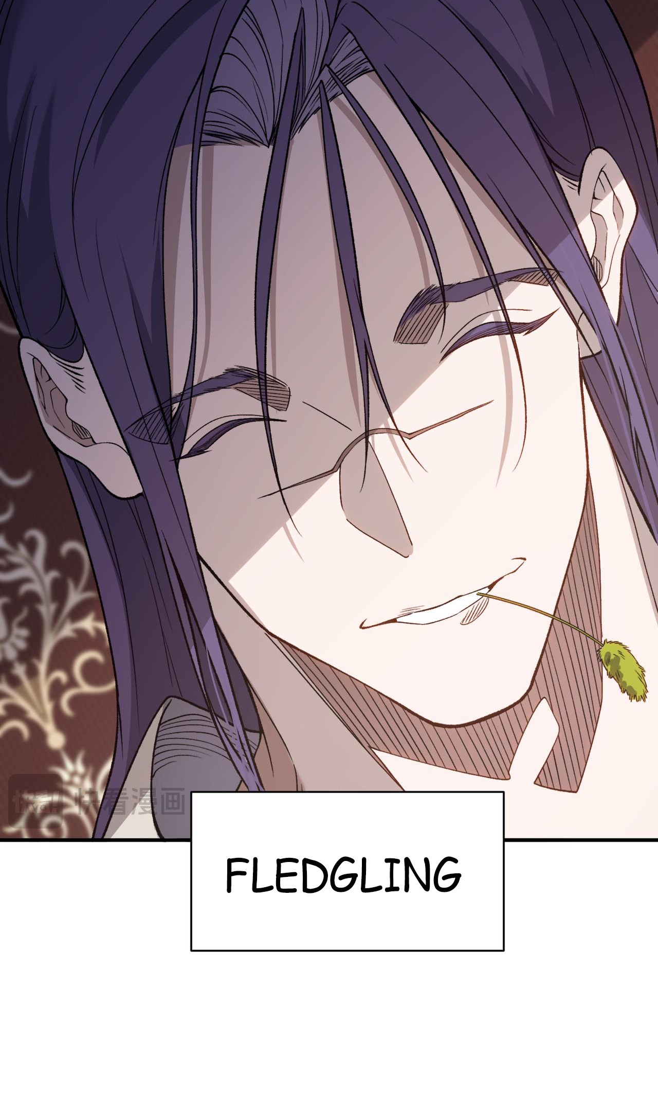 Chapter Image 1