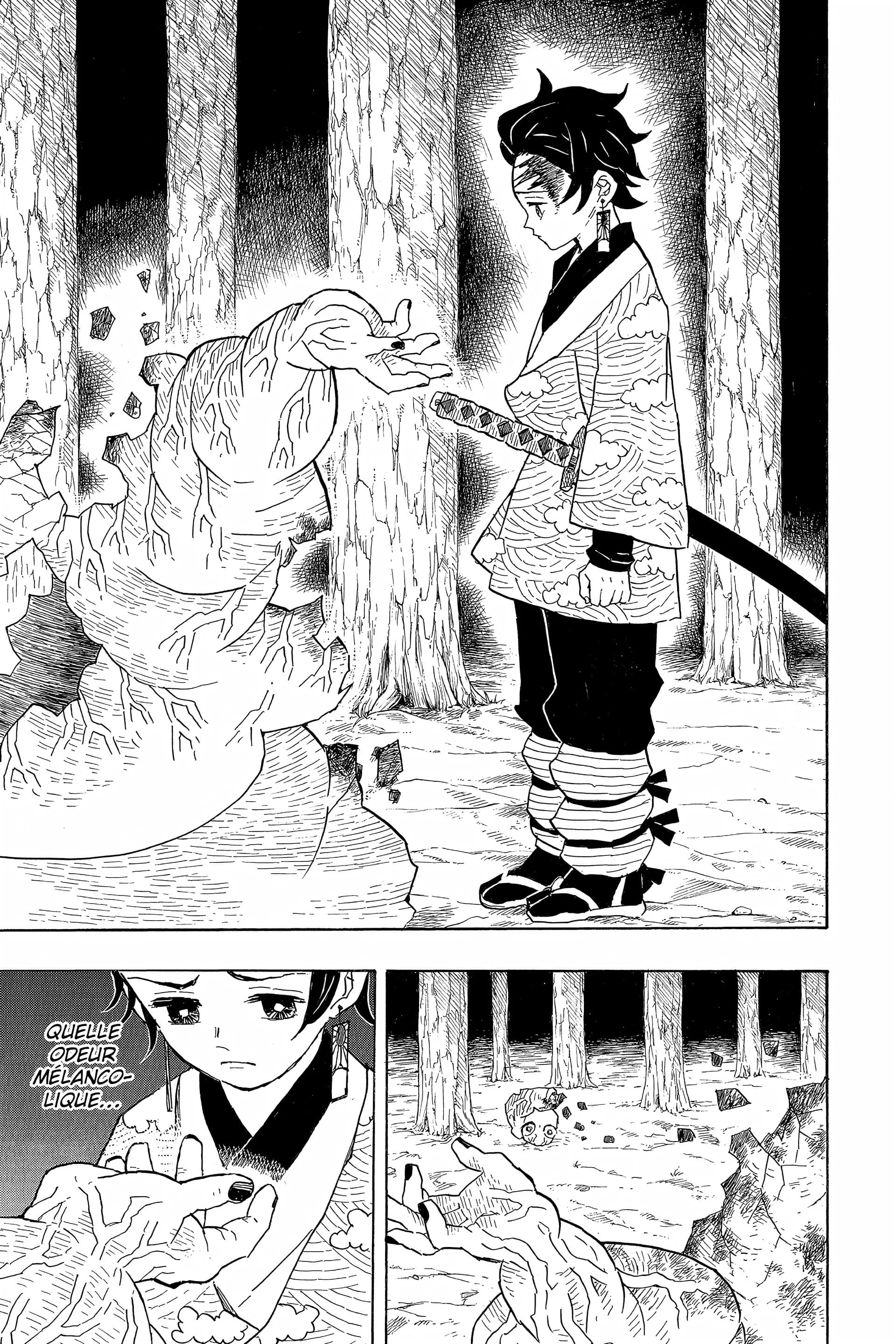 Chapter Image 371