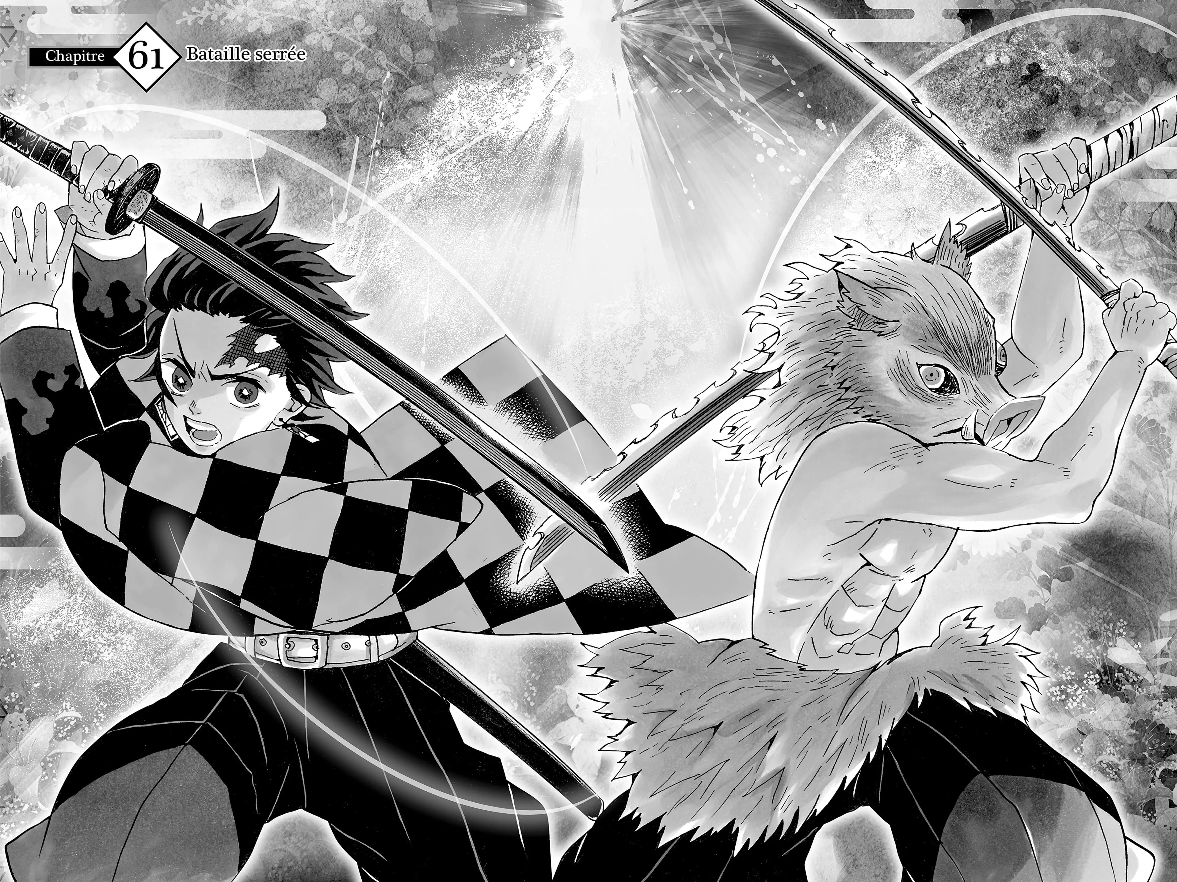 Chapter Image 260