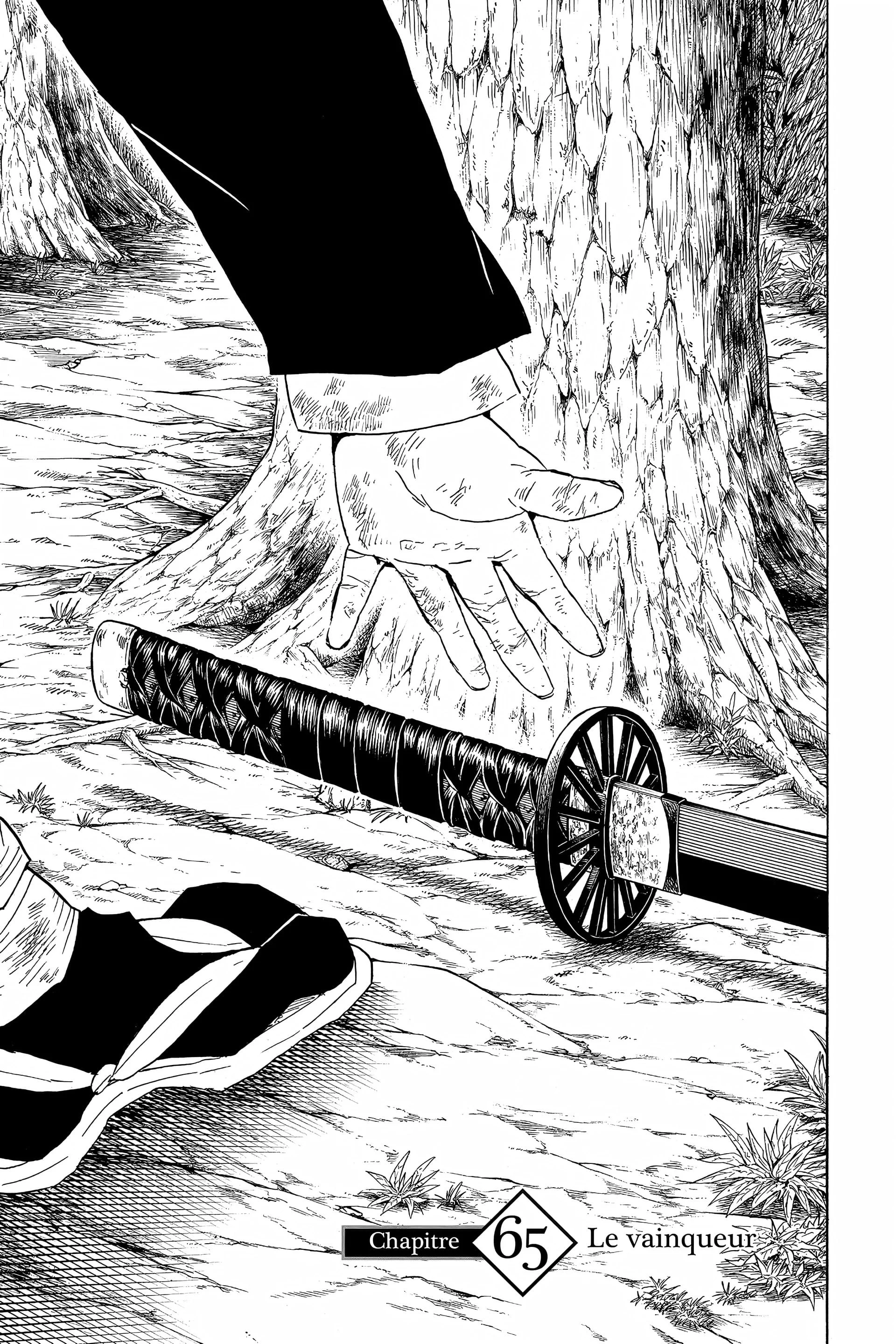 Chapter Image 408