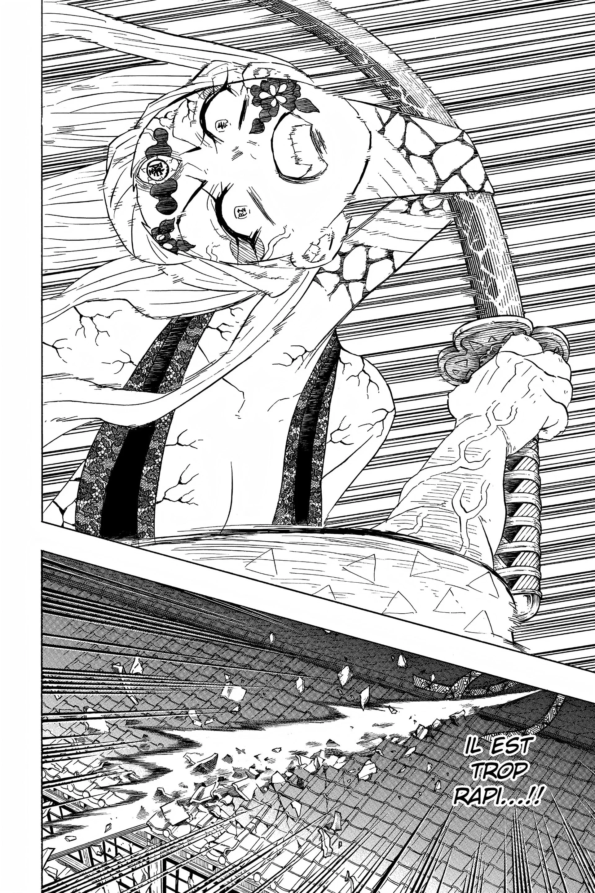Chapter Image 408