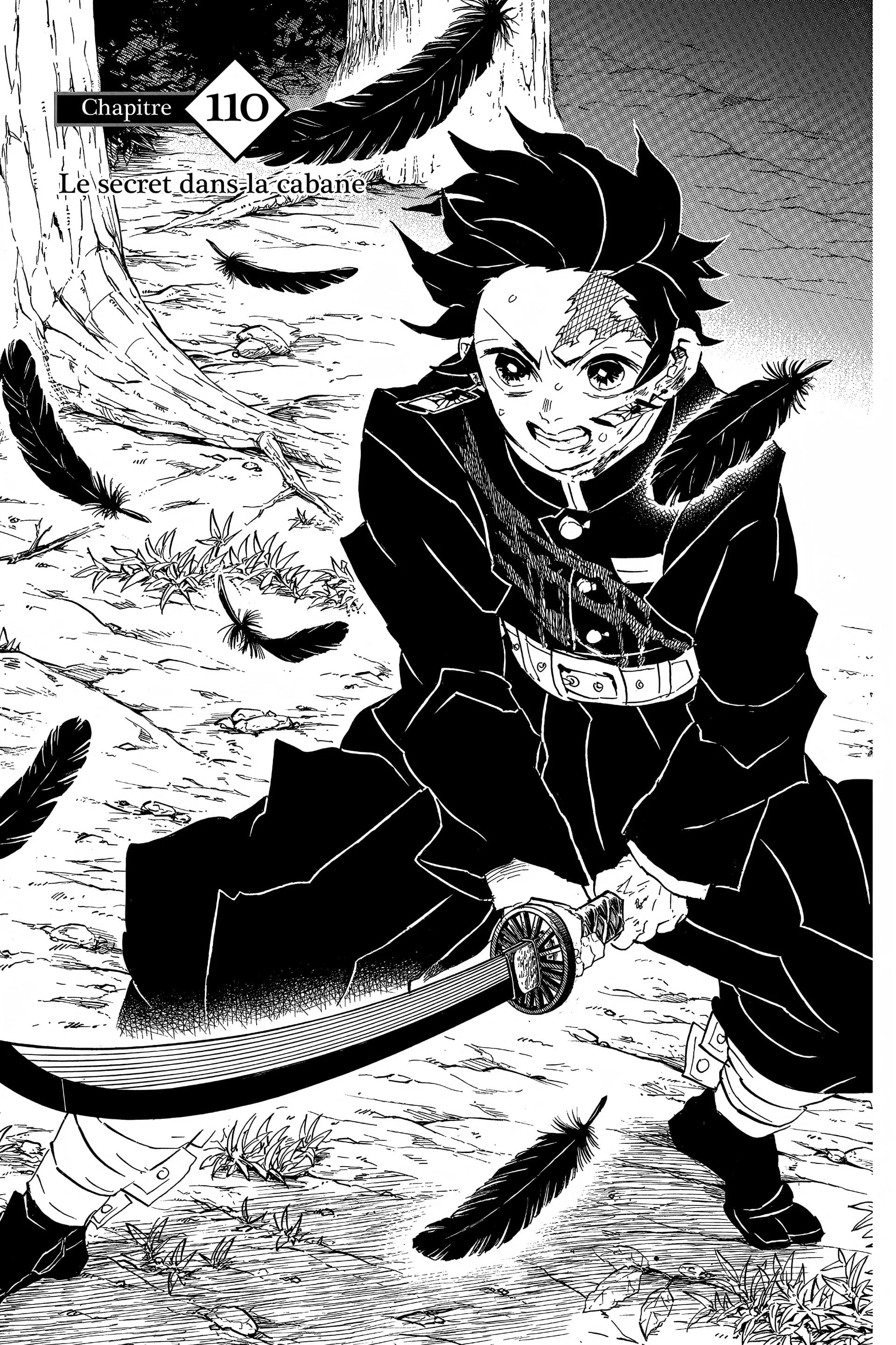 Chapter Image 371