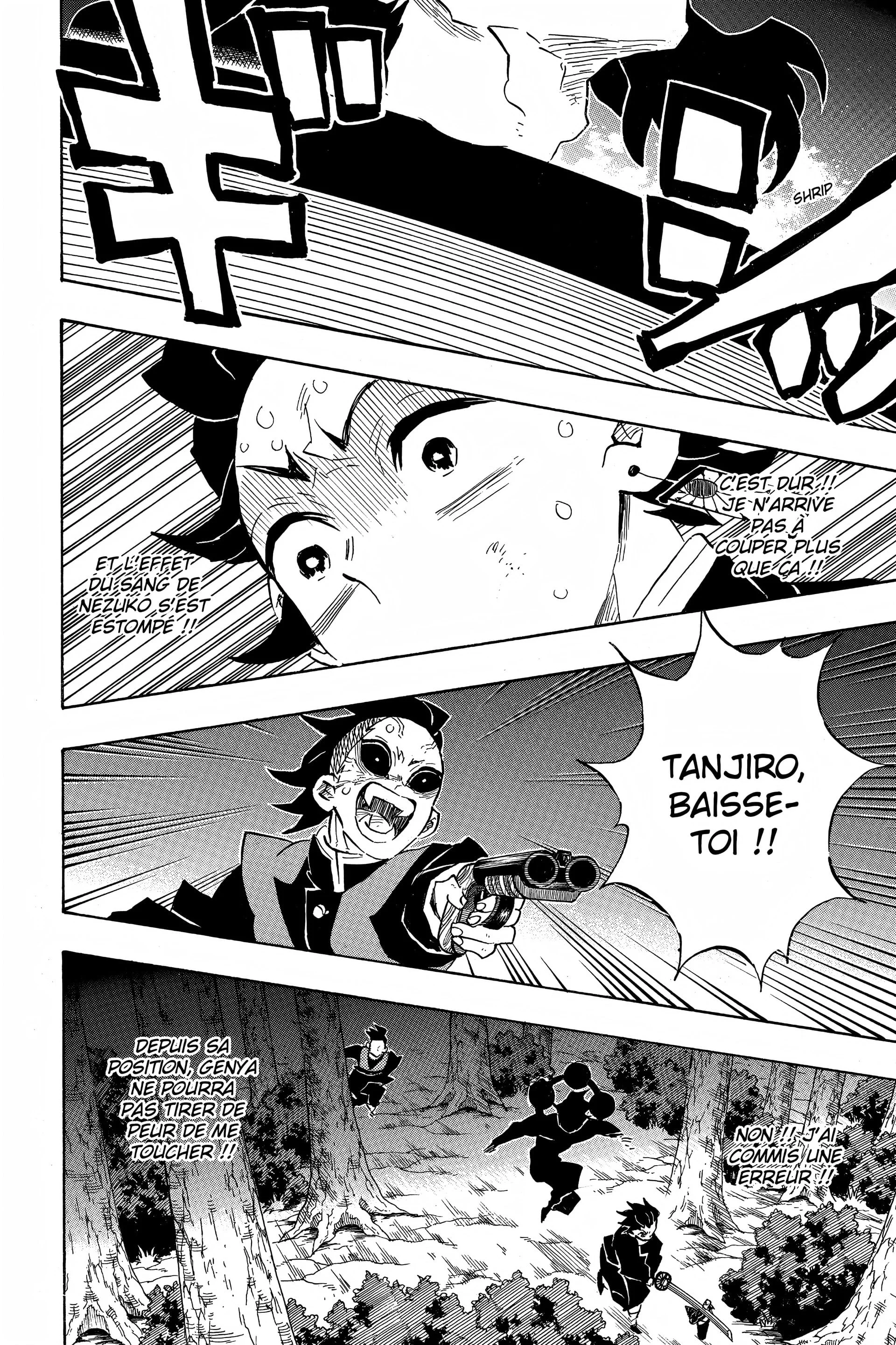 Chapter Image 260
