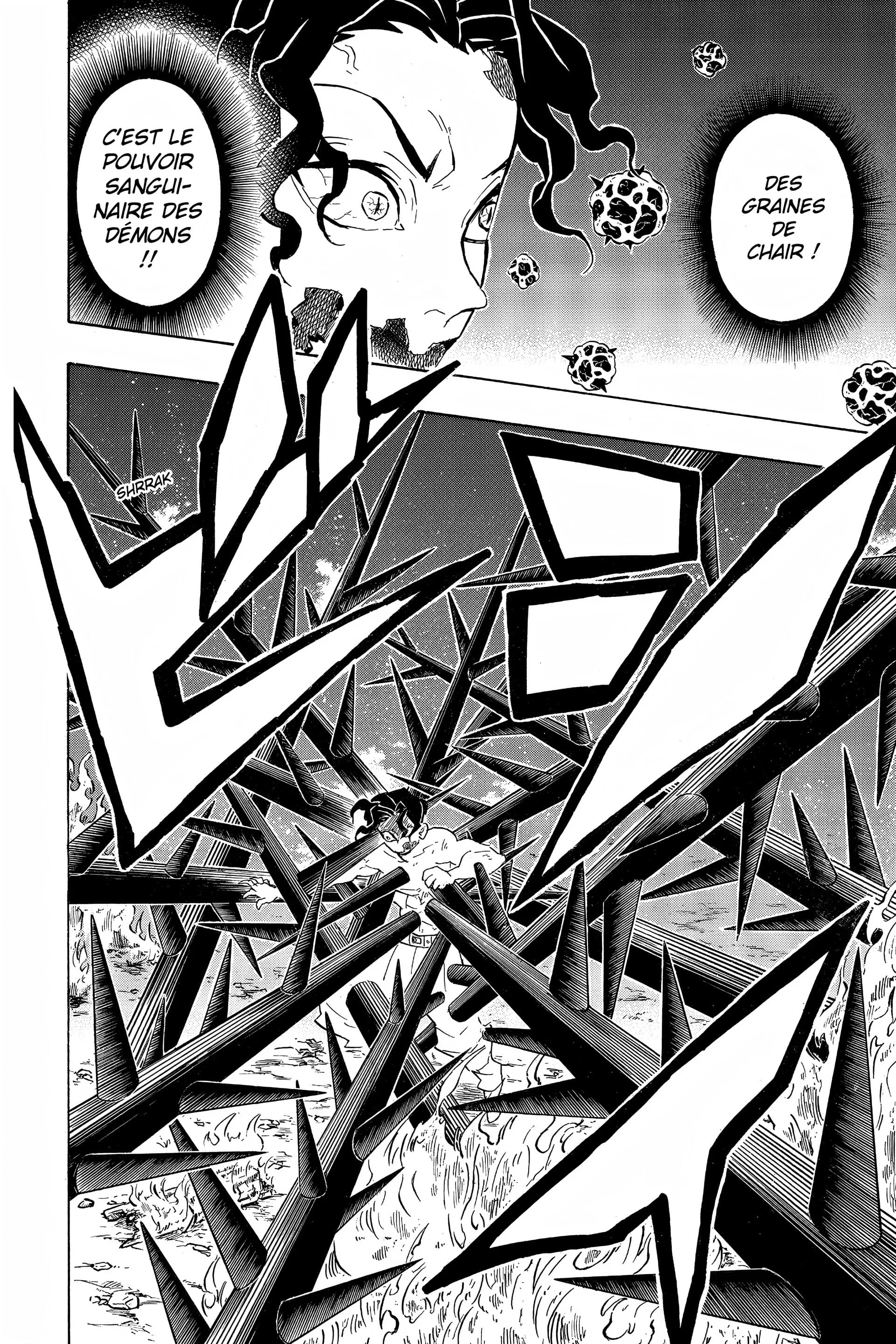 Chapter Image 482