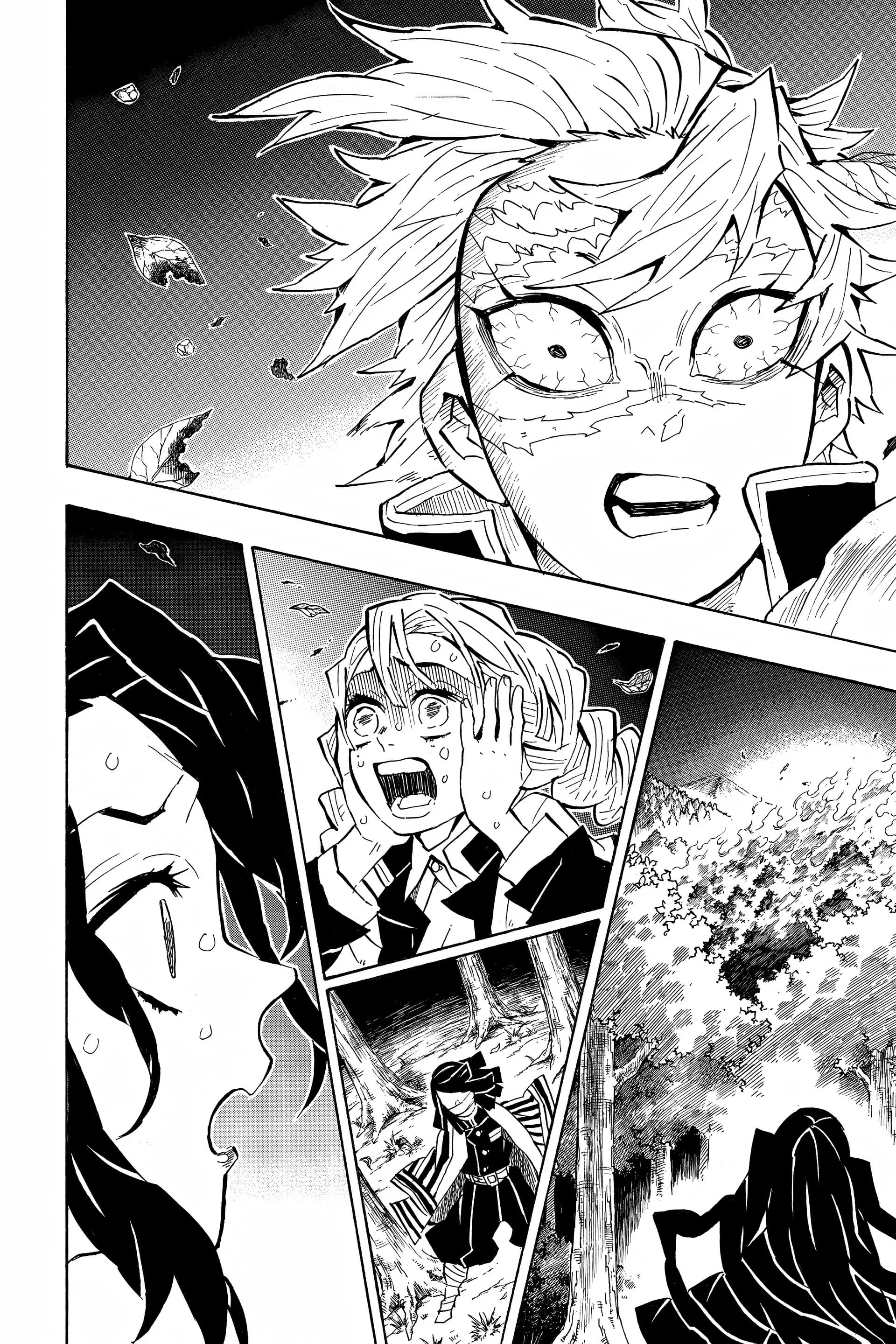 Chapter Image 260