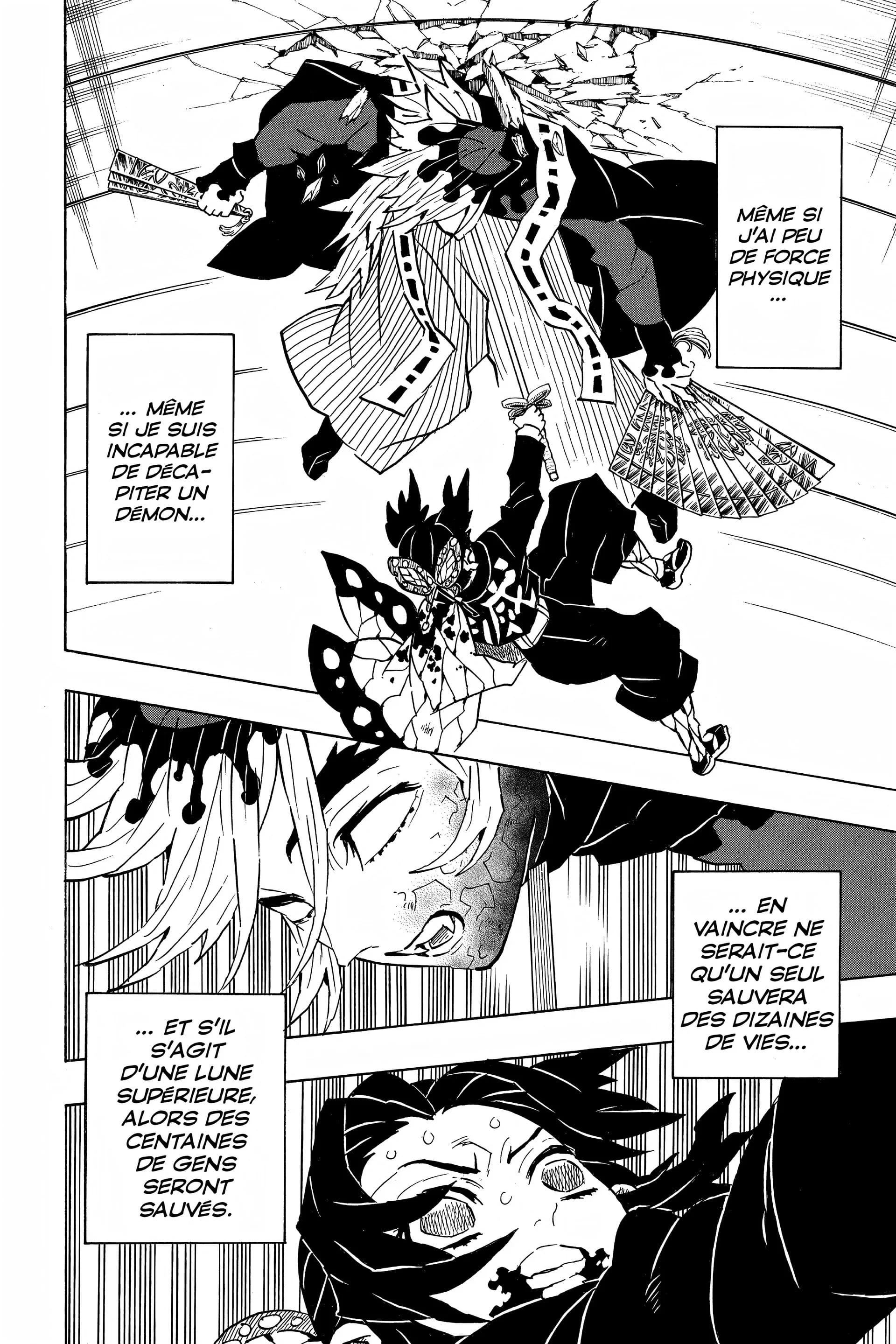 Chapter Image 260