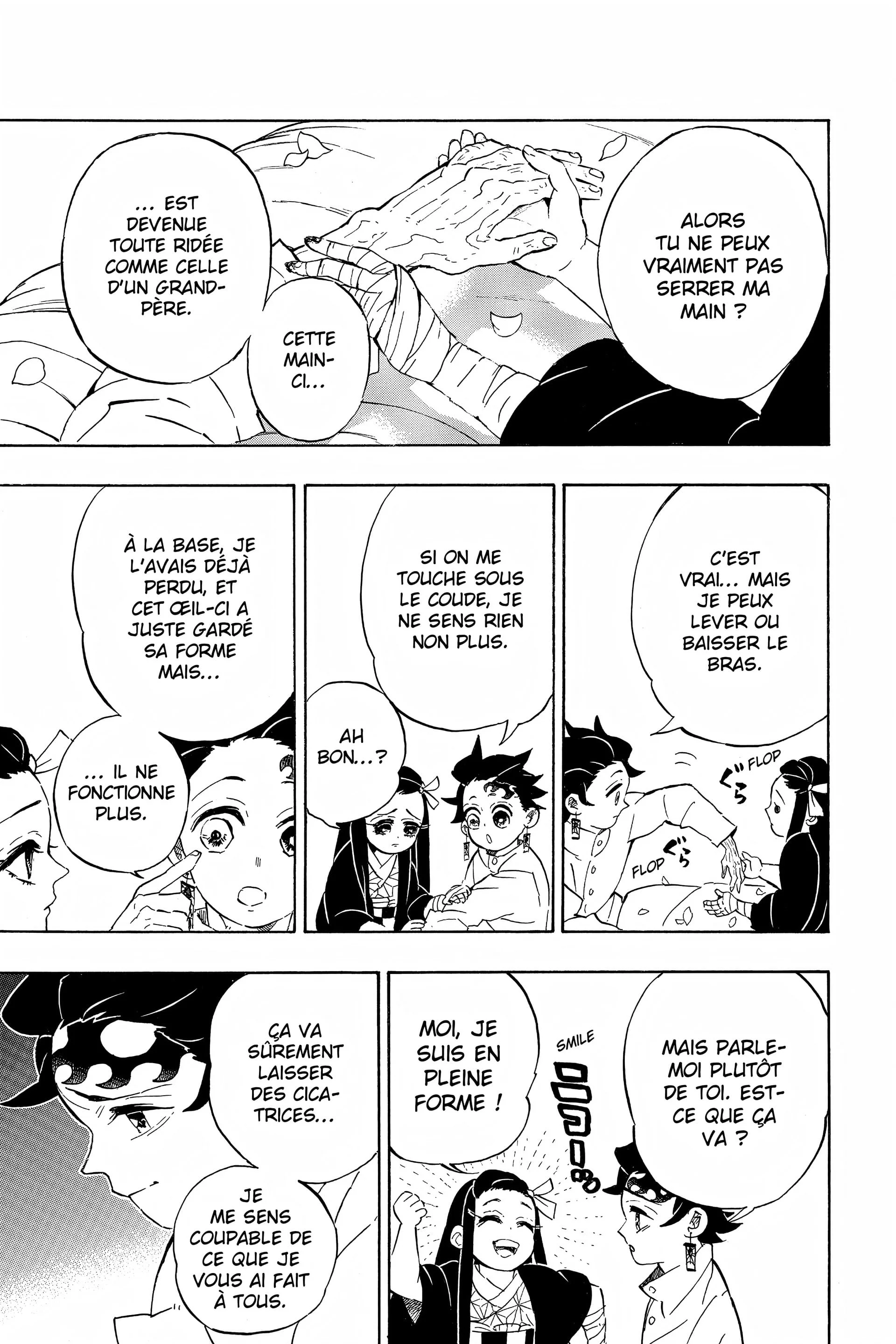 Chapter Image 519
