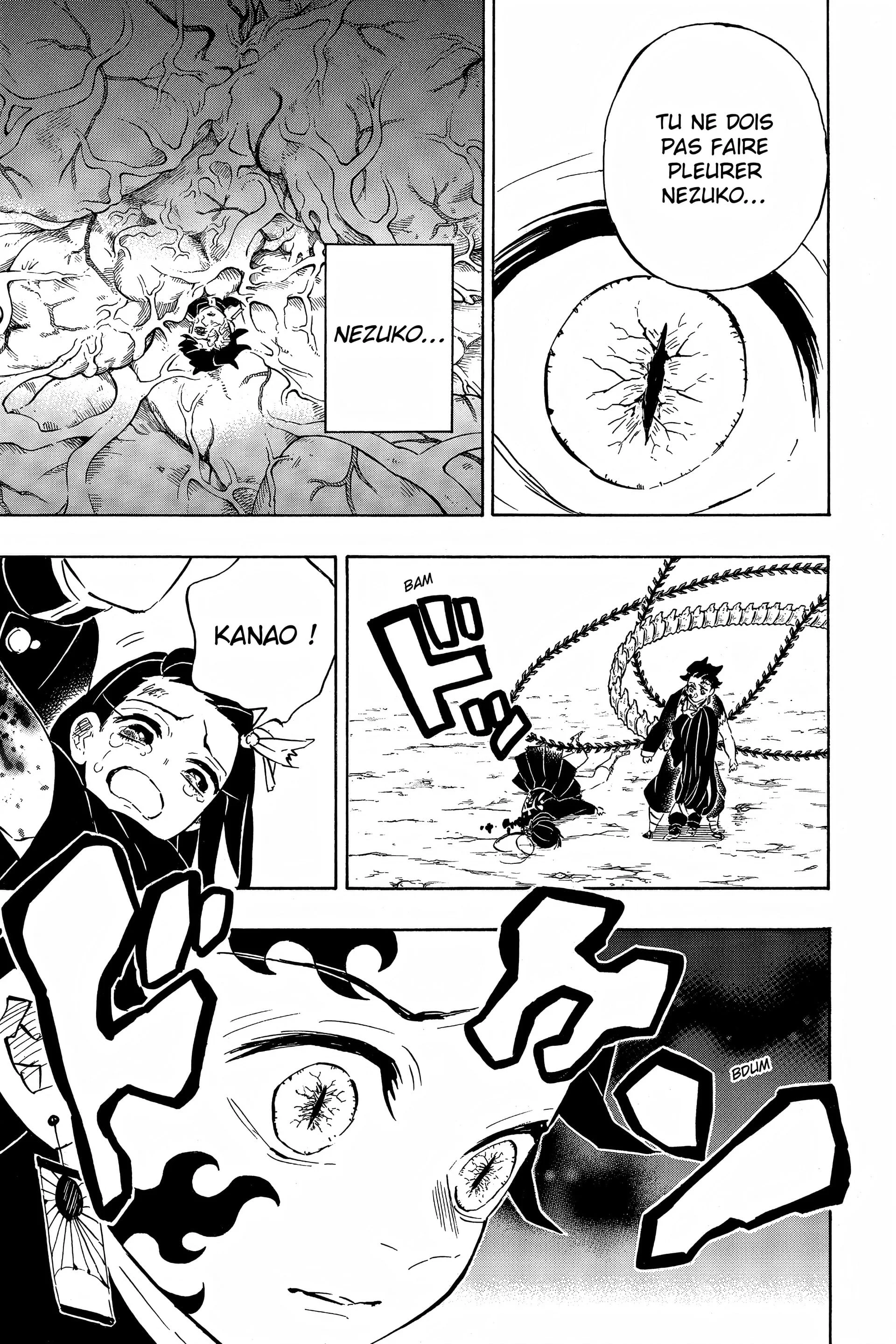 Chapter Image 593