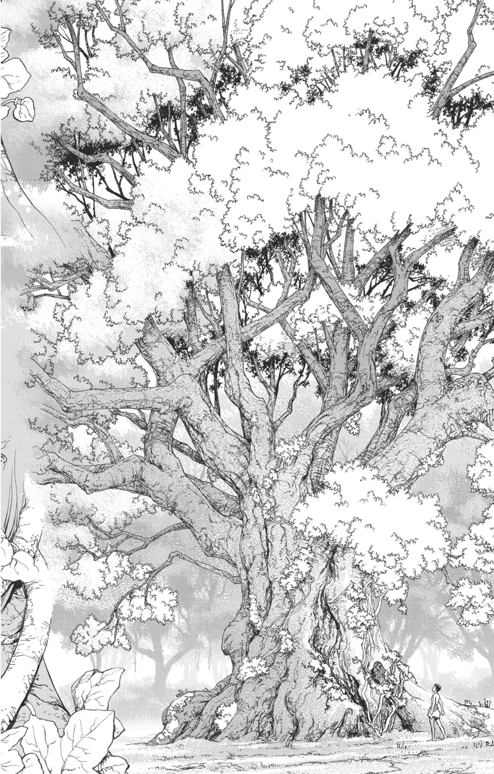 Chapter Image 482